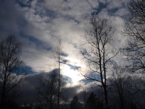 P3044935
