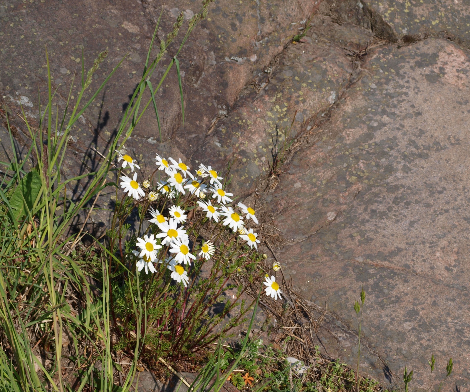 P6056948