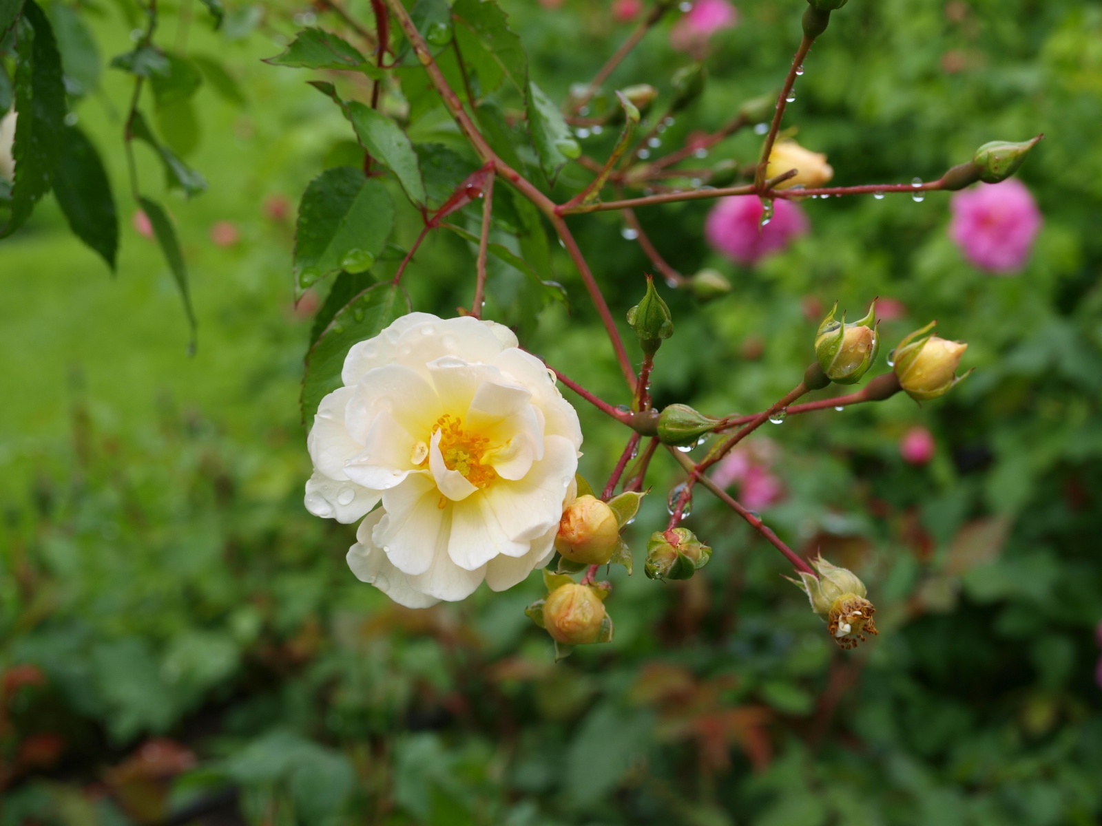 P7125401
