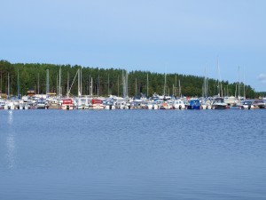 P8295759
