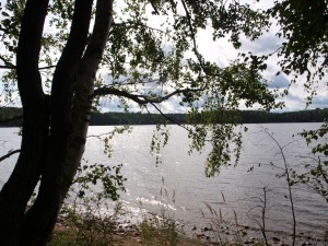 P8295785