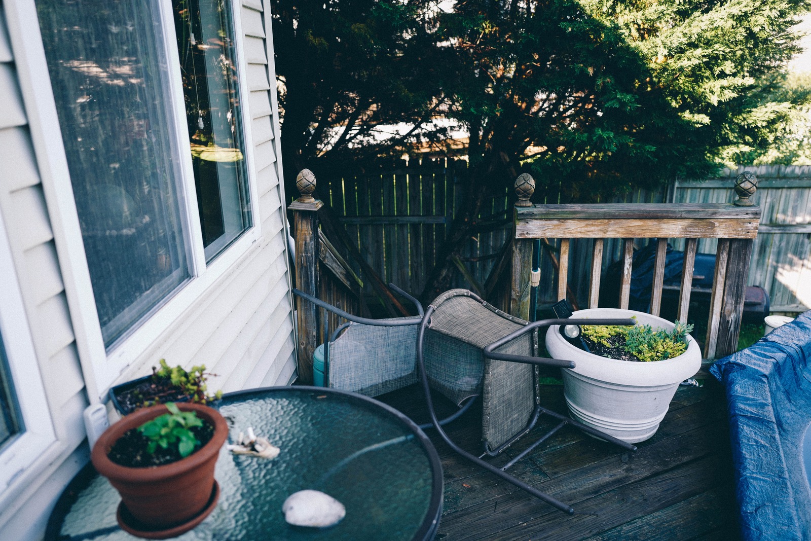 Quiet Patio Scene