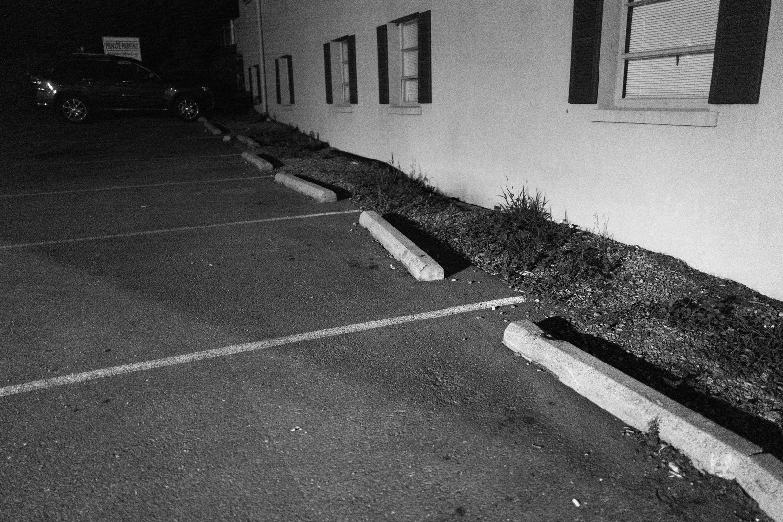 Quiet Night Shadows