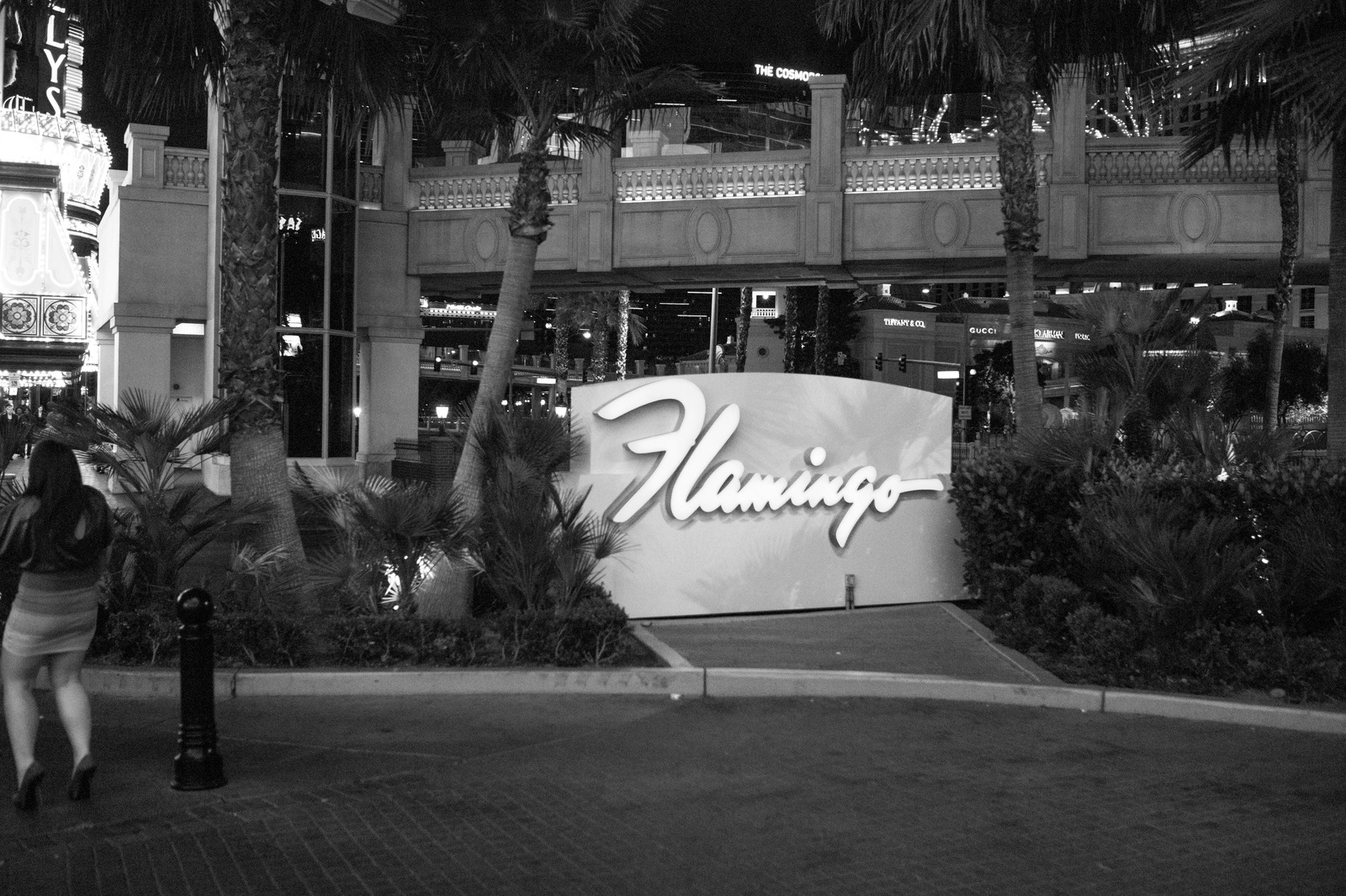 Nighttime Elegance