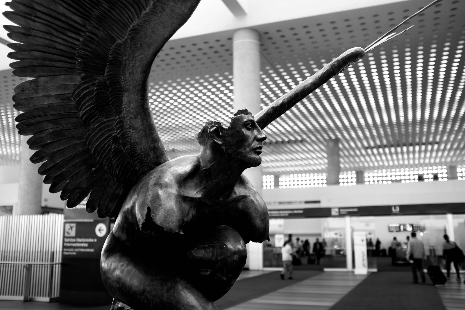 Wings of Ambition