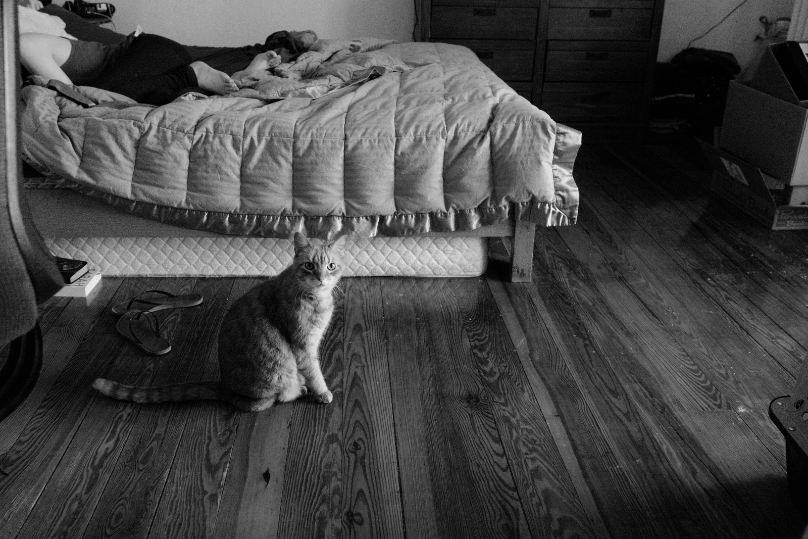 A Moment of Quiet