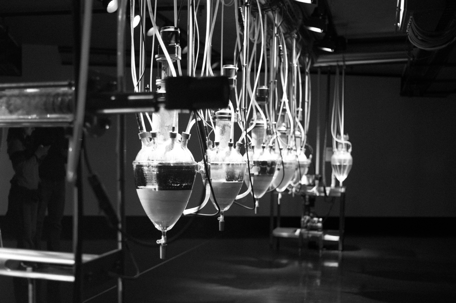 Industrial Elegance
