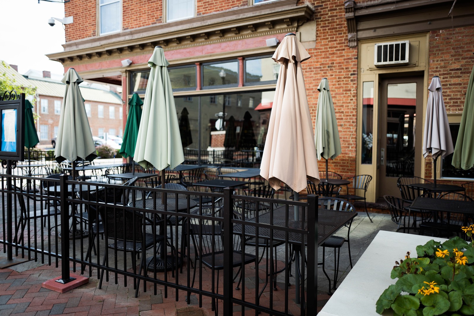 Quaint Café Oasis