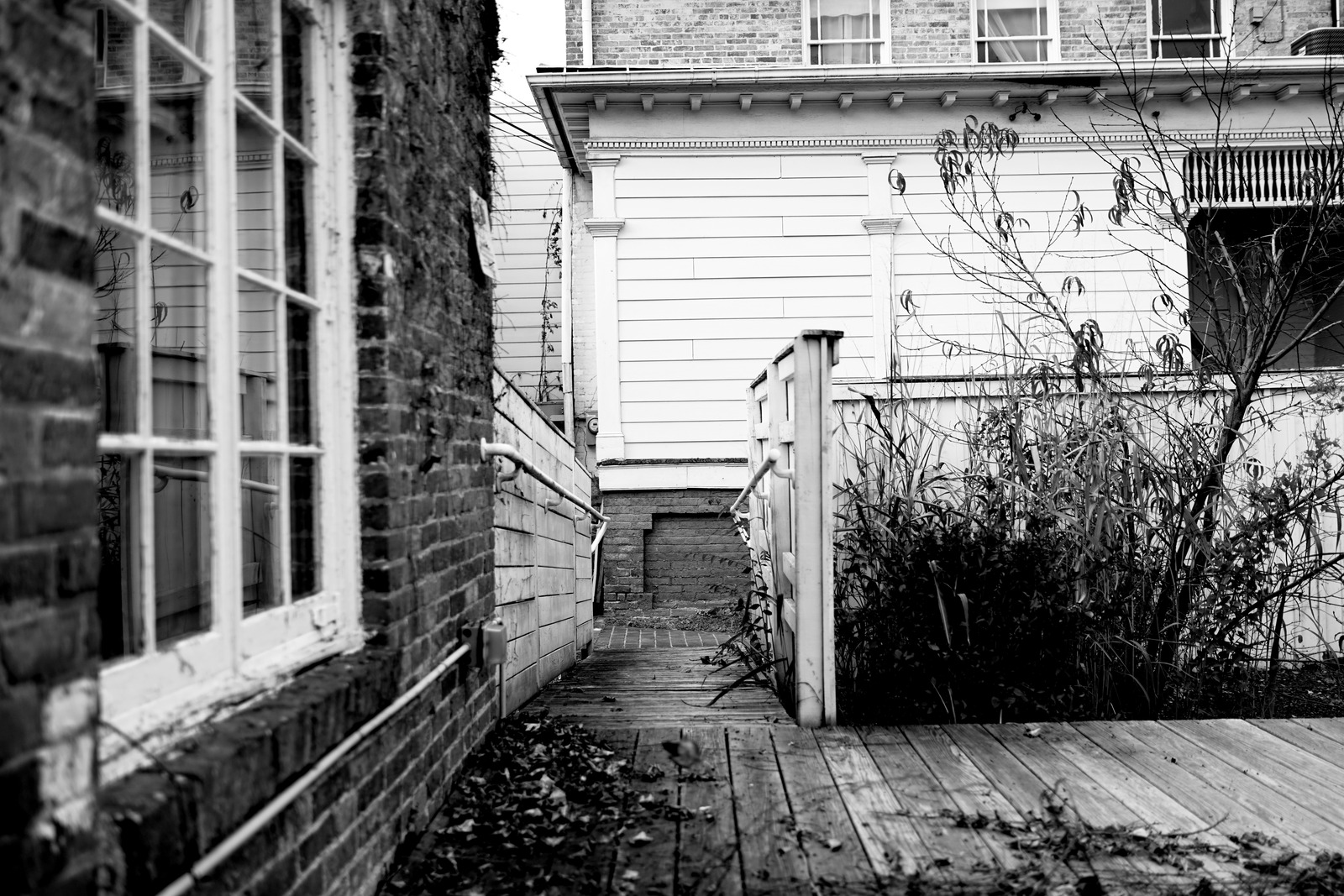 Forgotten Pathways