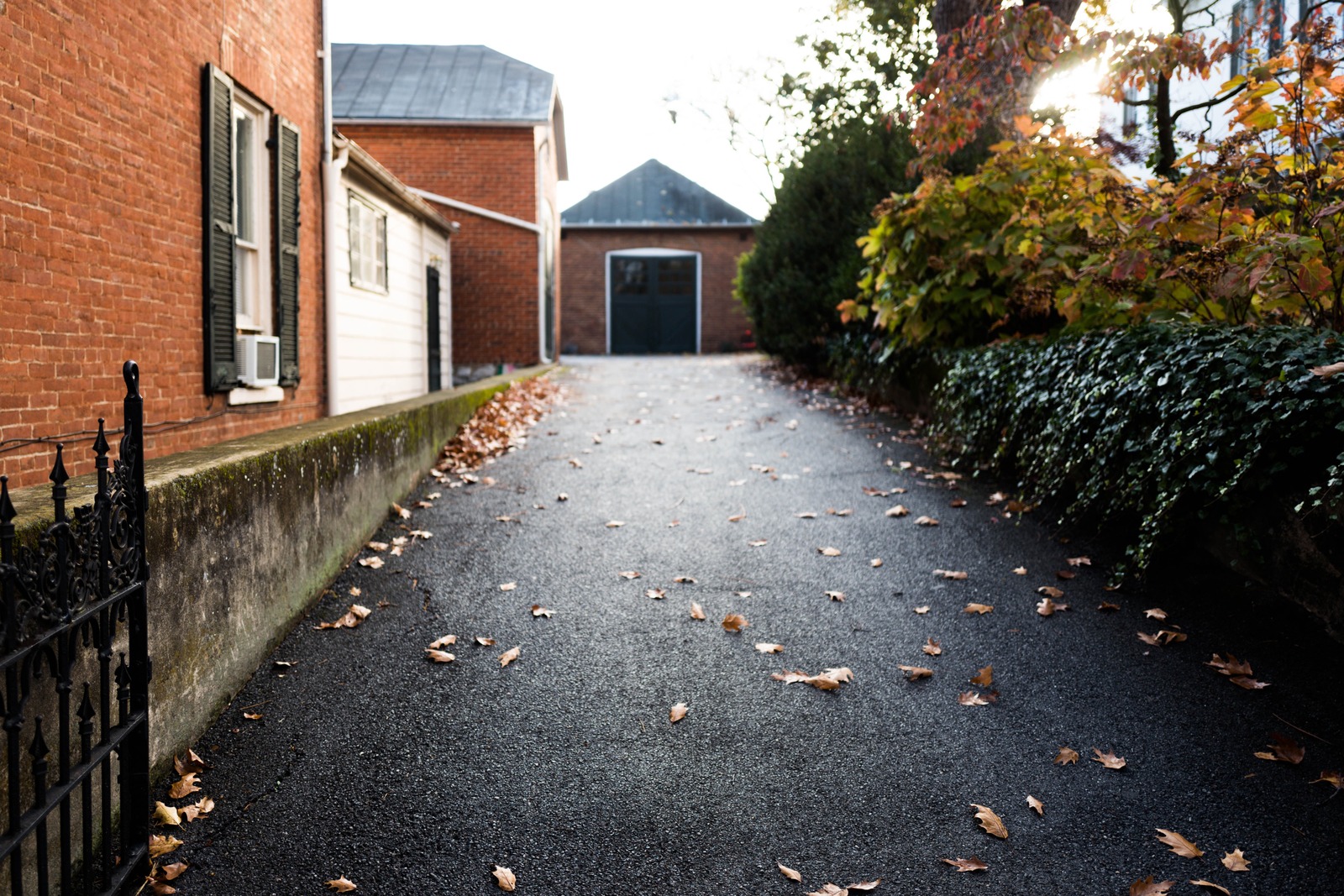 Autumnal Pathway
