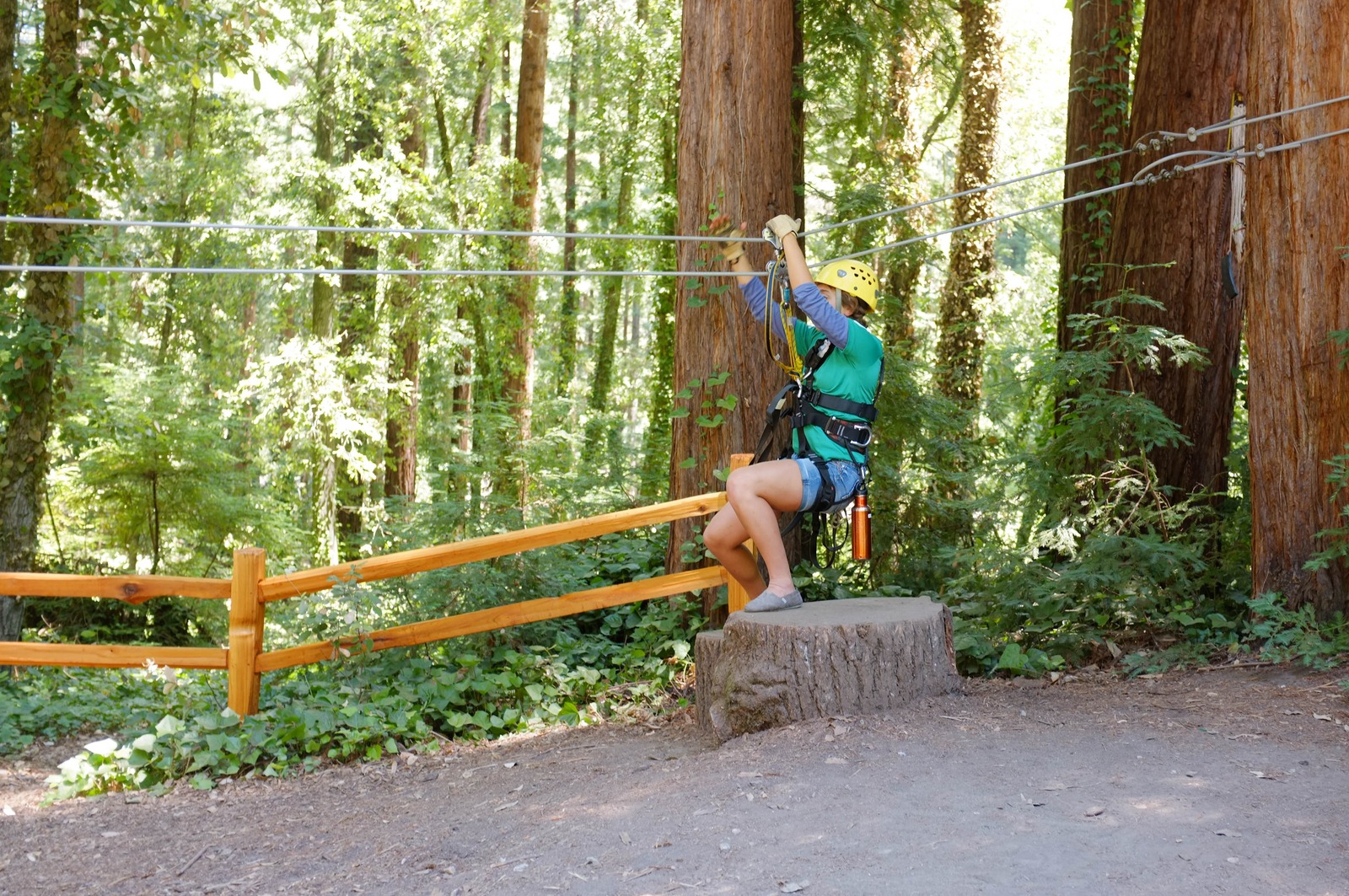 Embracing Adventure