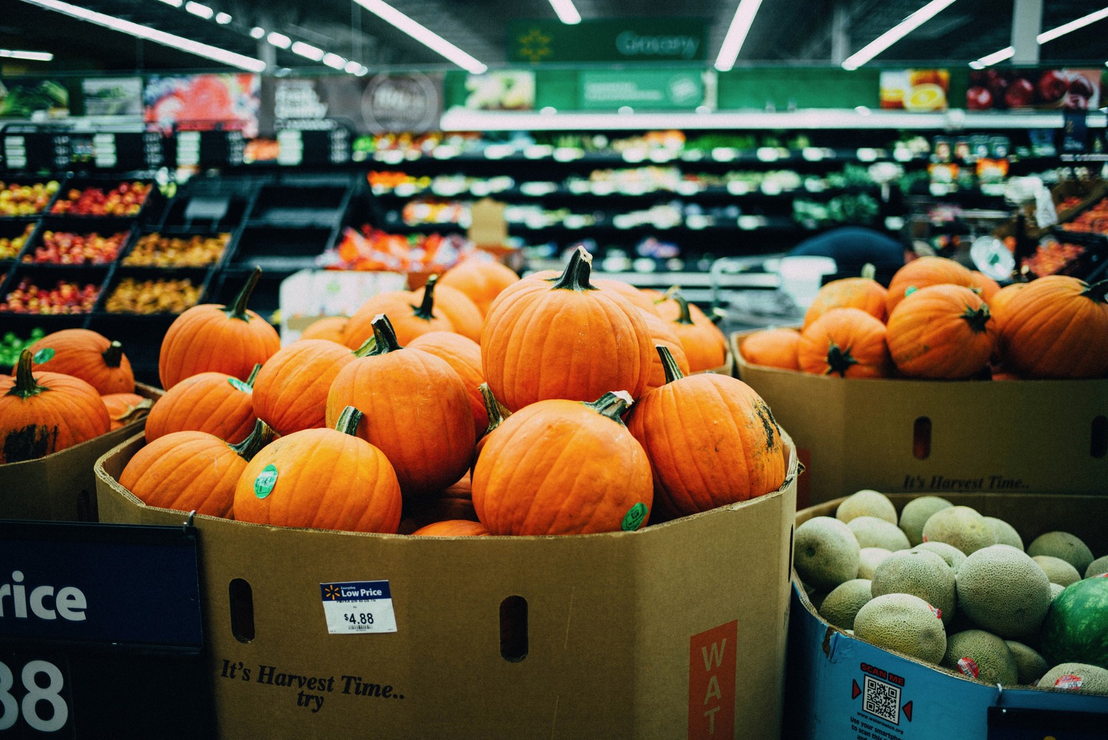Autumn's Bounty