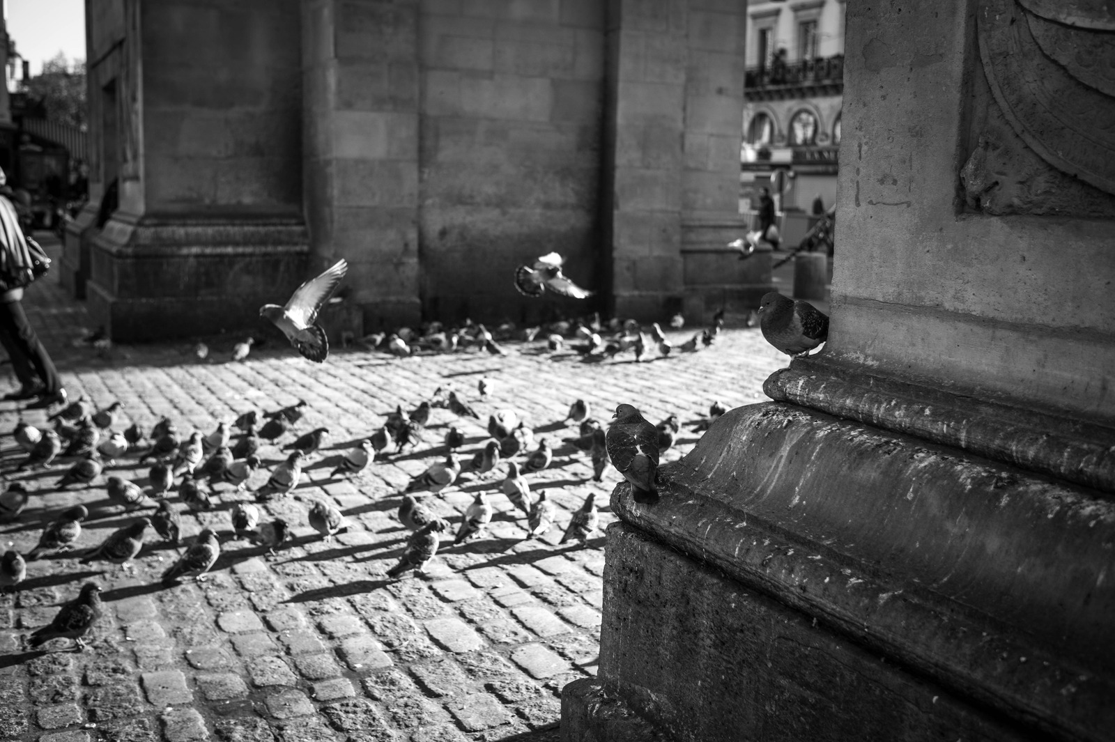 Urban Flight