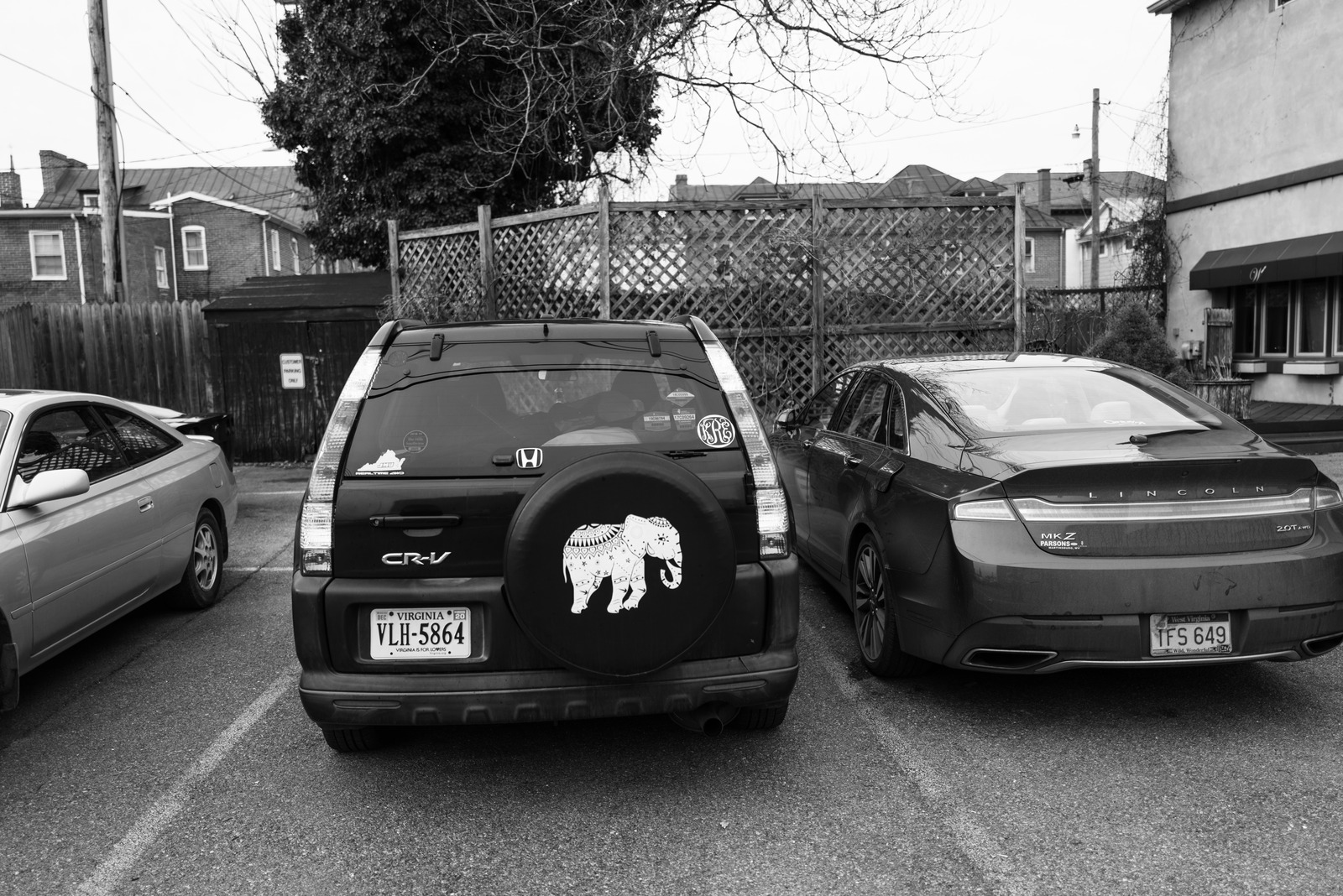 Urban Animal Spirit