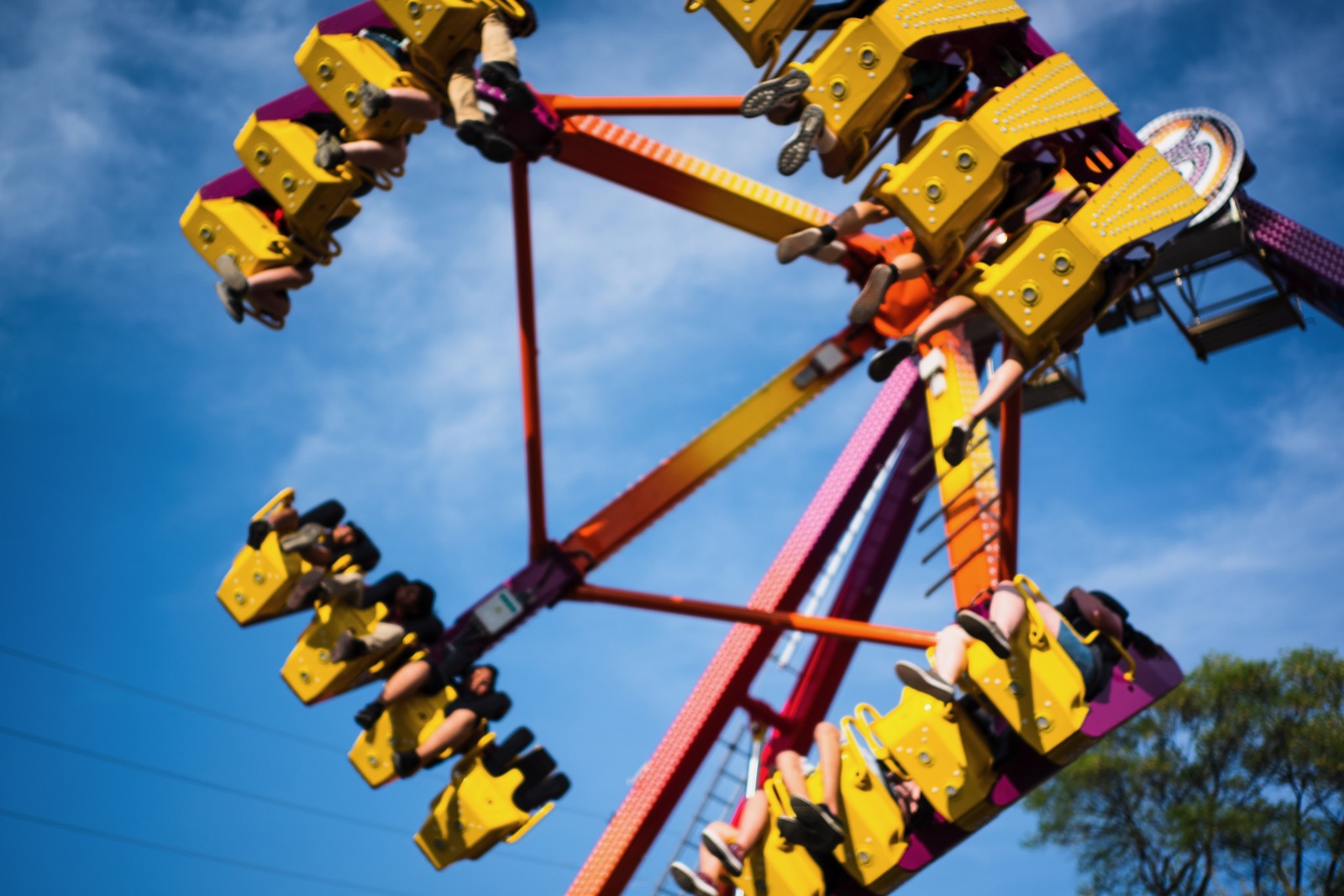 Whirl of Joy