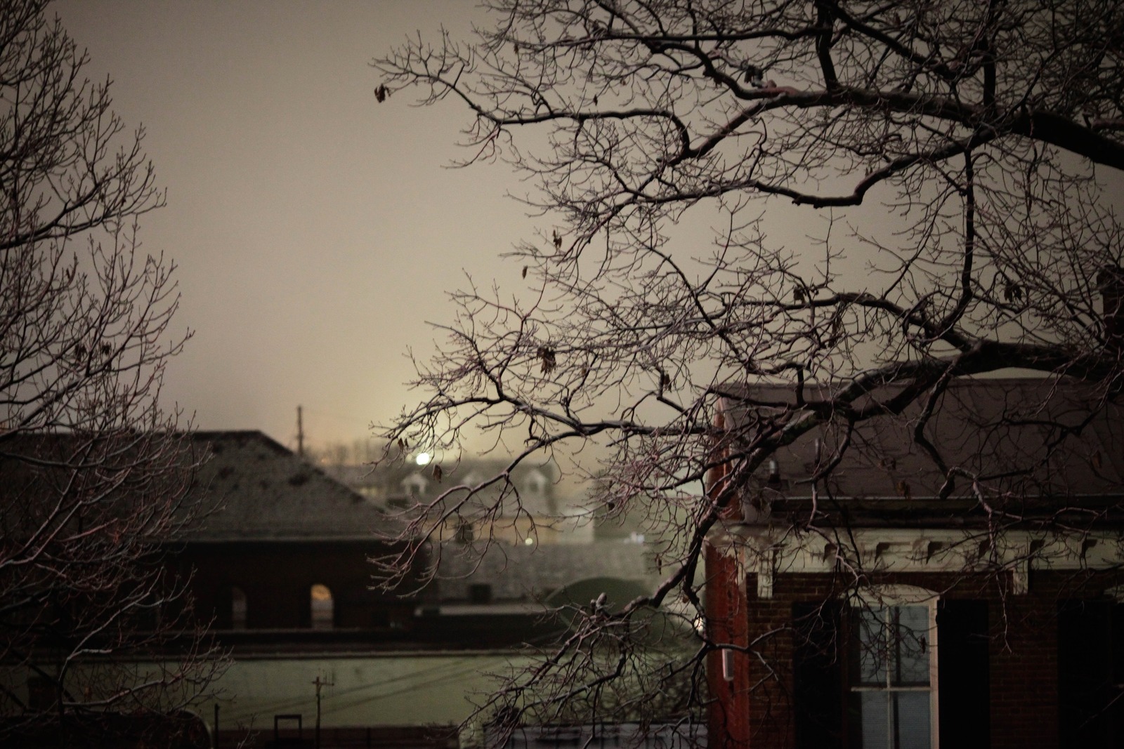 Silent Winter Night