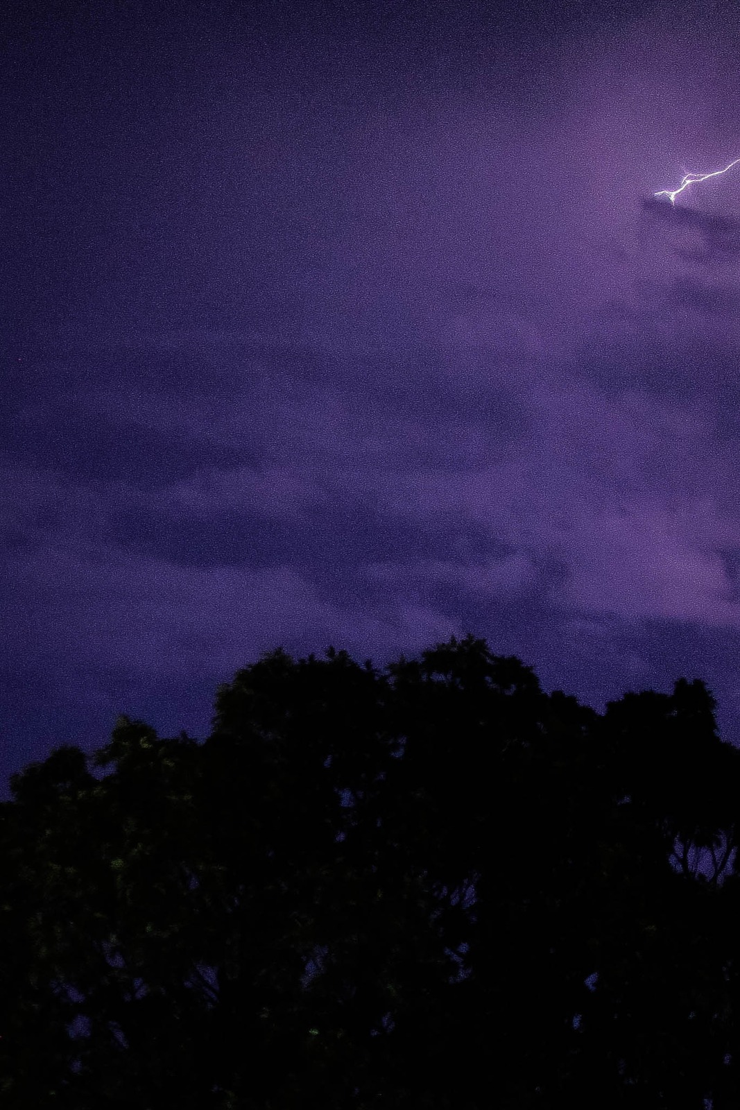 Electric Night Sky
