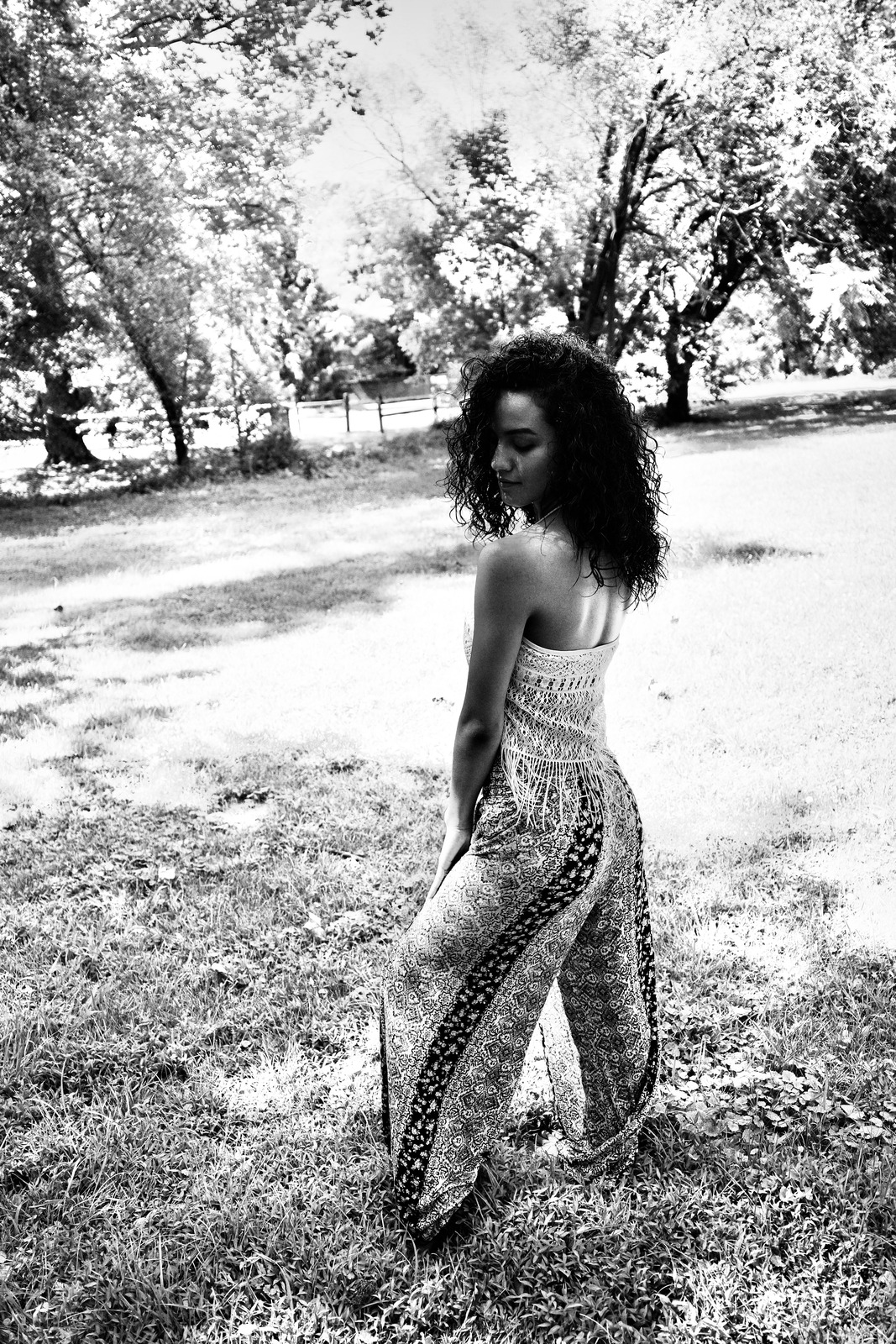 Whispers of Nature