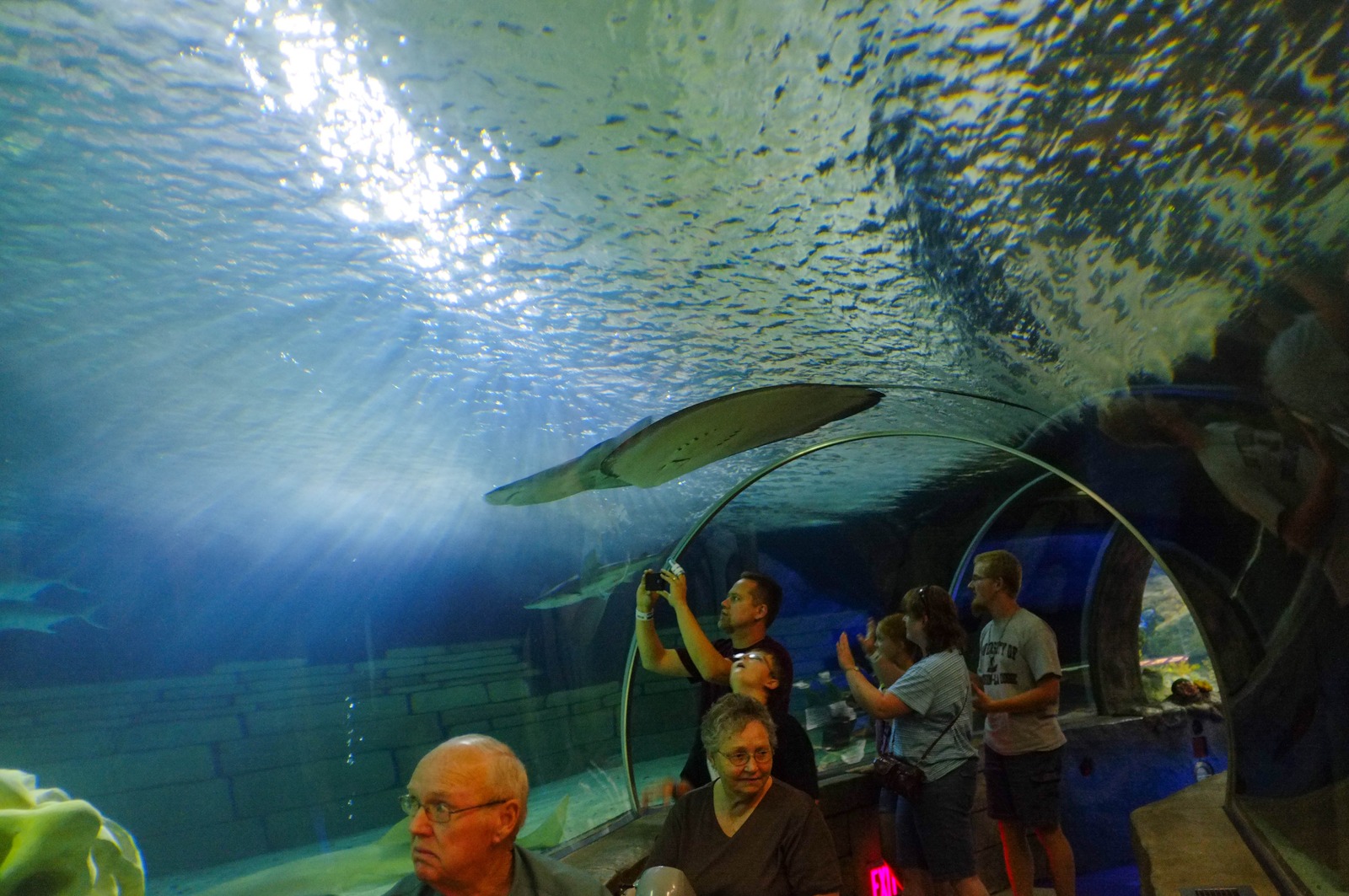 Underwater Wonder
