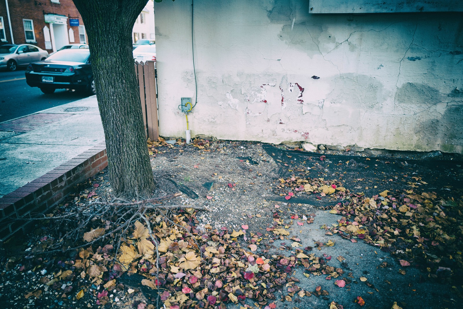 Urban Decay