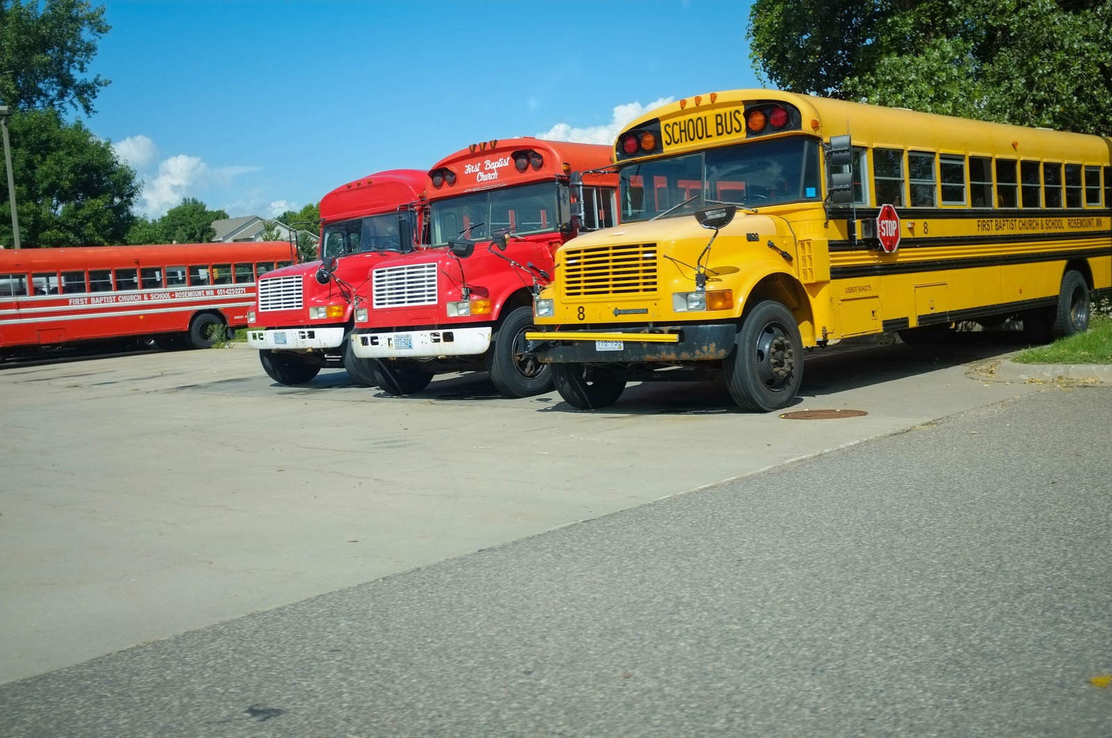 Buses in the Sun