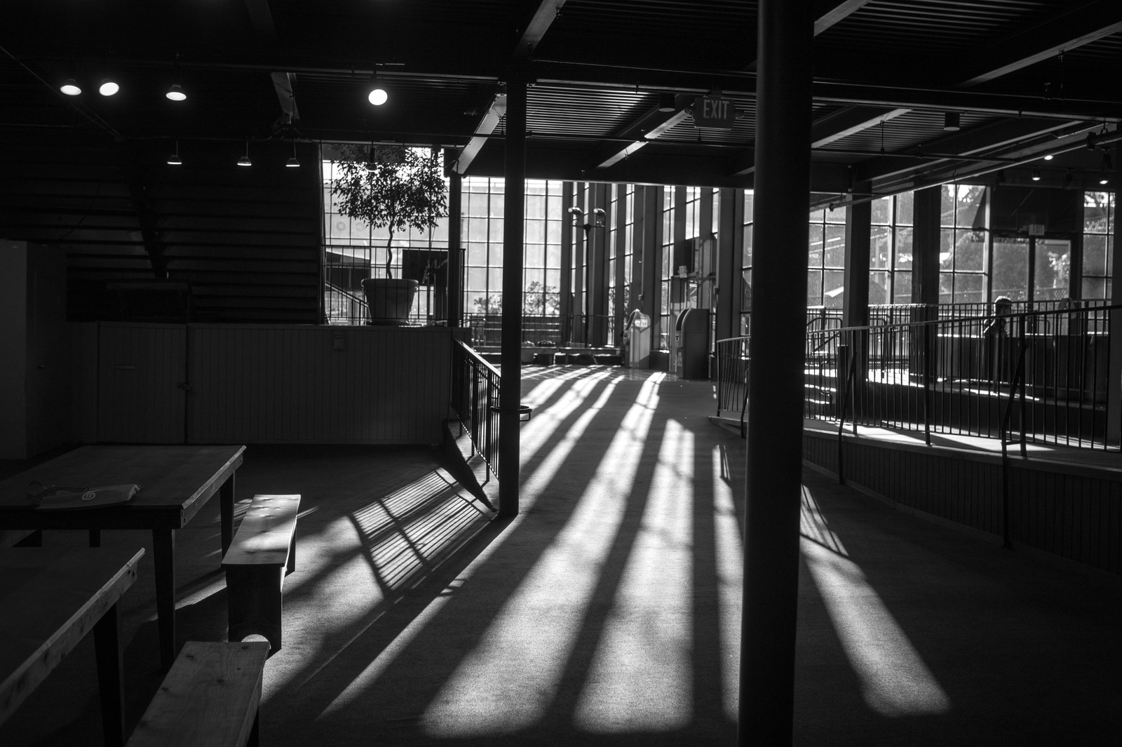 Shadows of Solitude