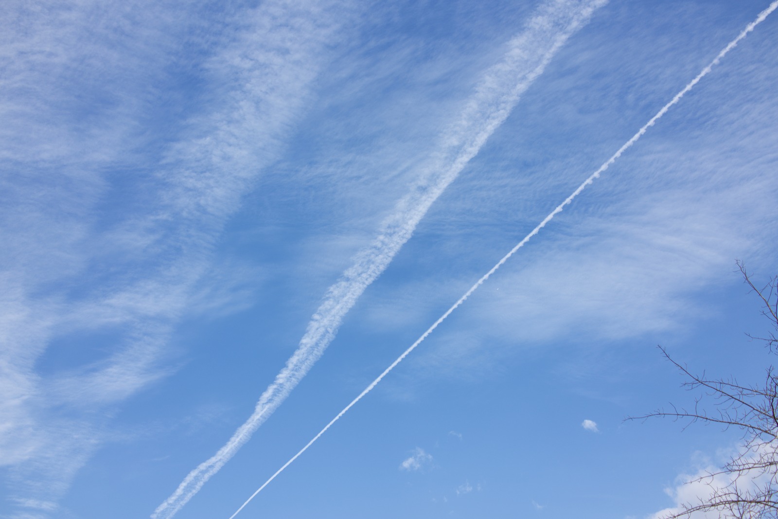Skyward Trails