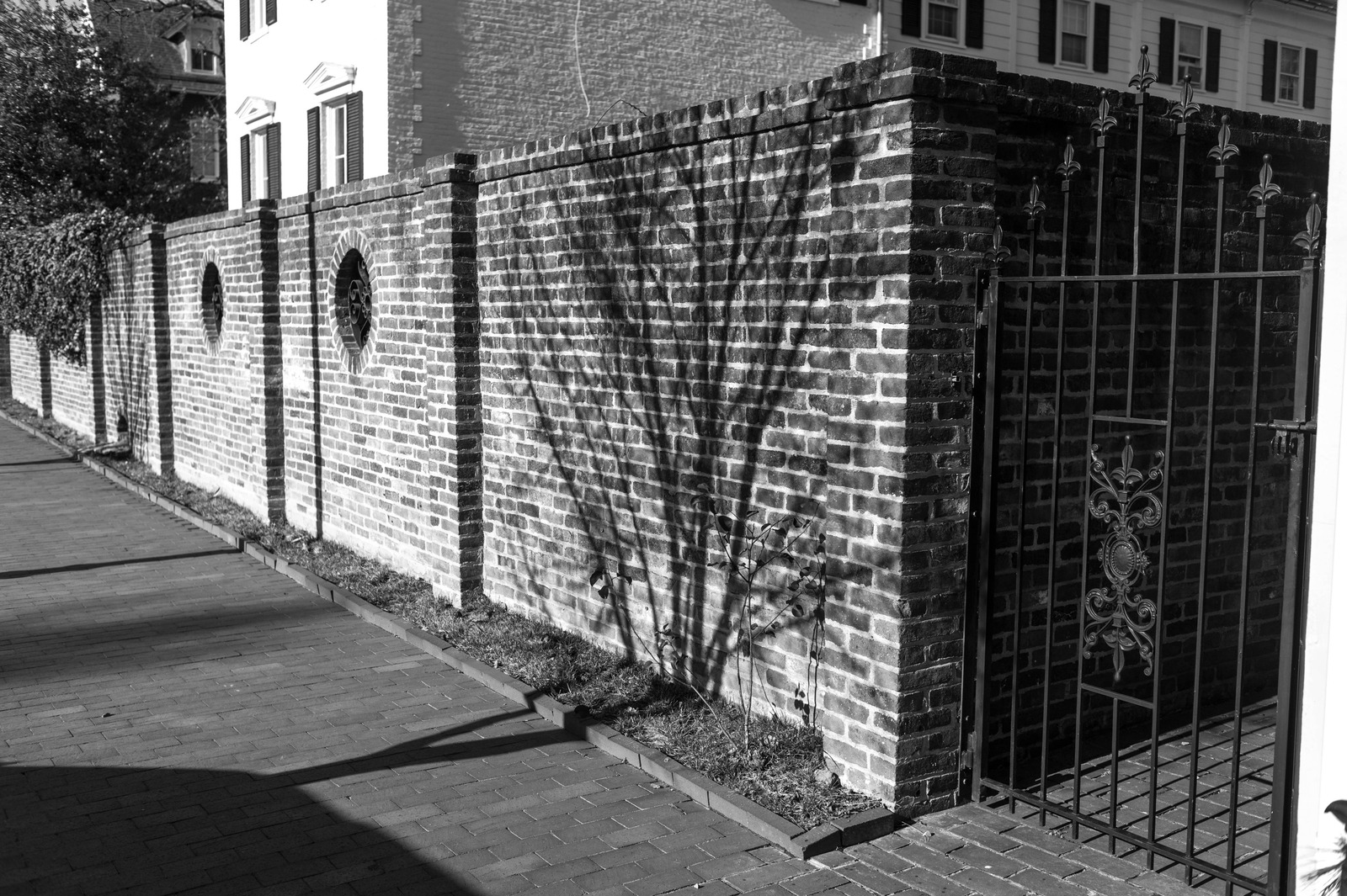 Shadows of Solitude