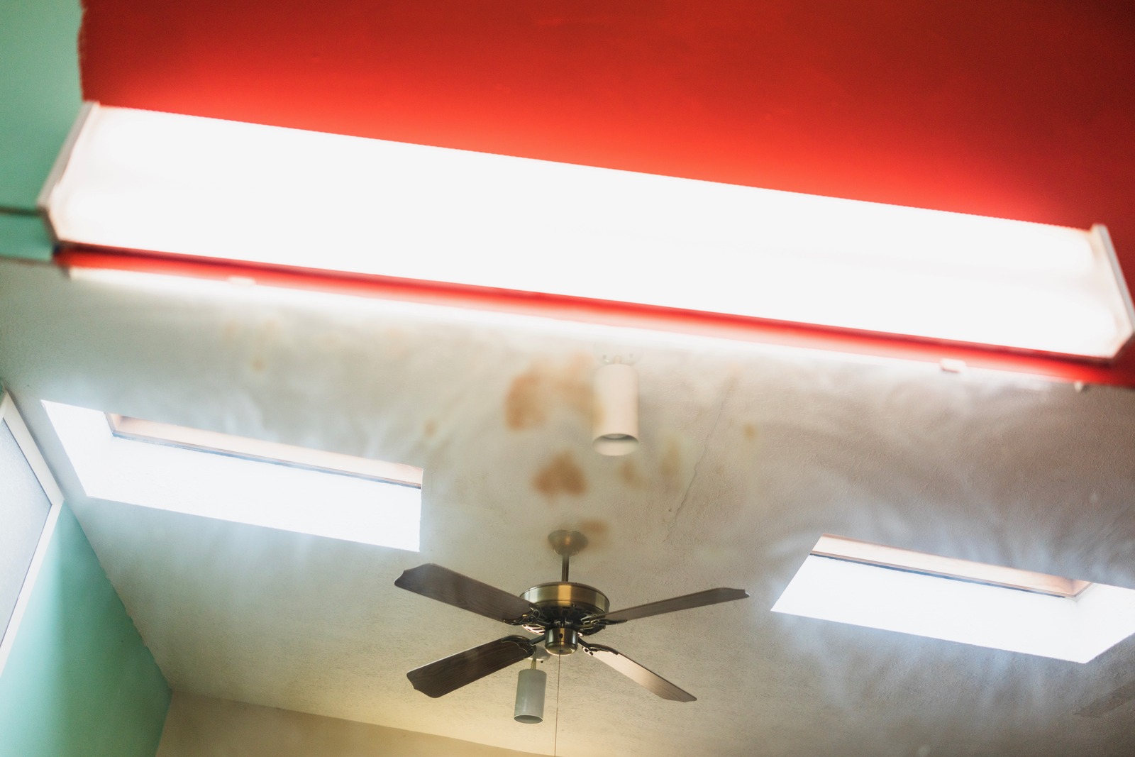 Ceiling Reflections