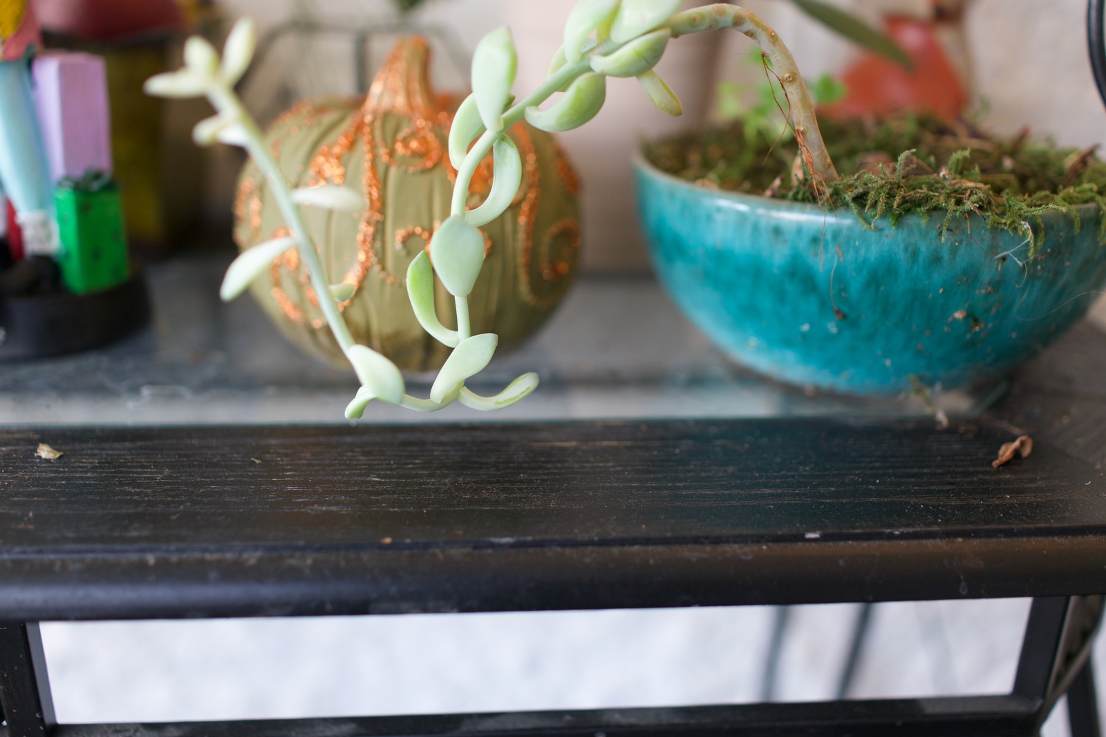 Greenery and Glaze