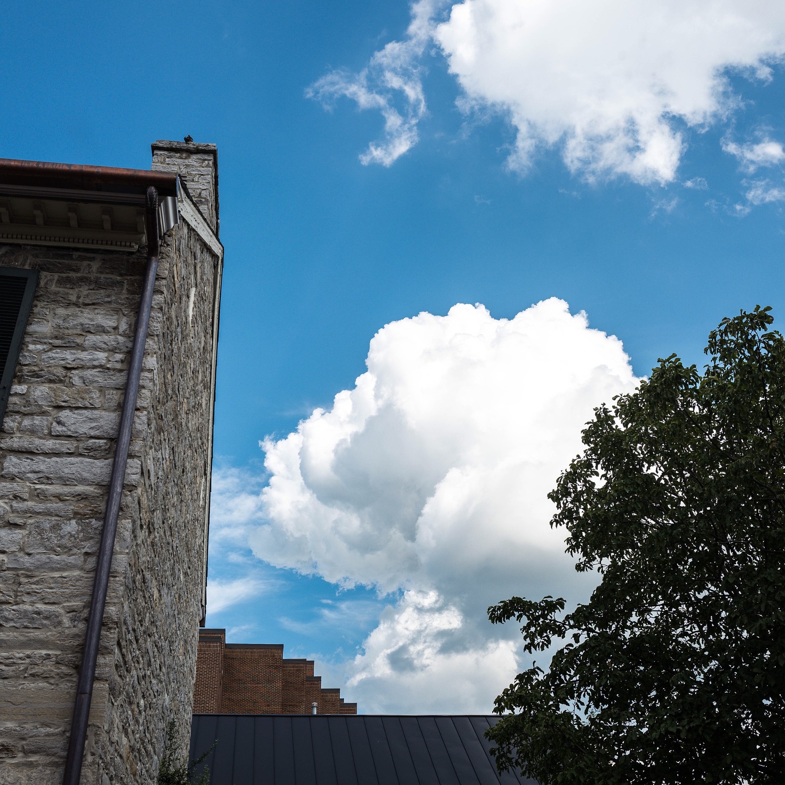 Skyward Dreams