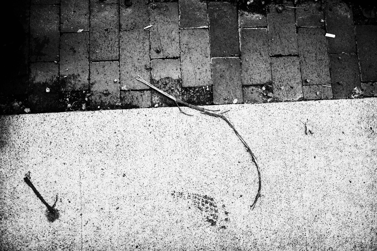 Urban Solitude