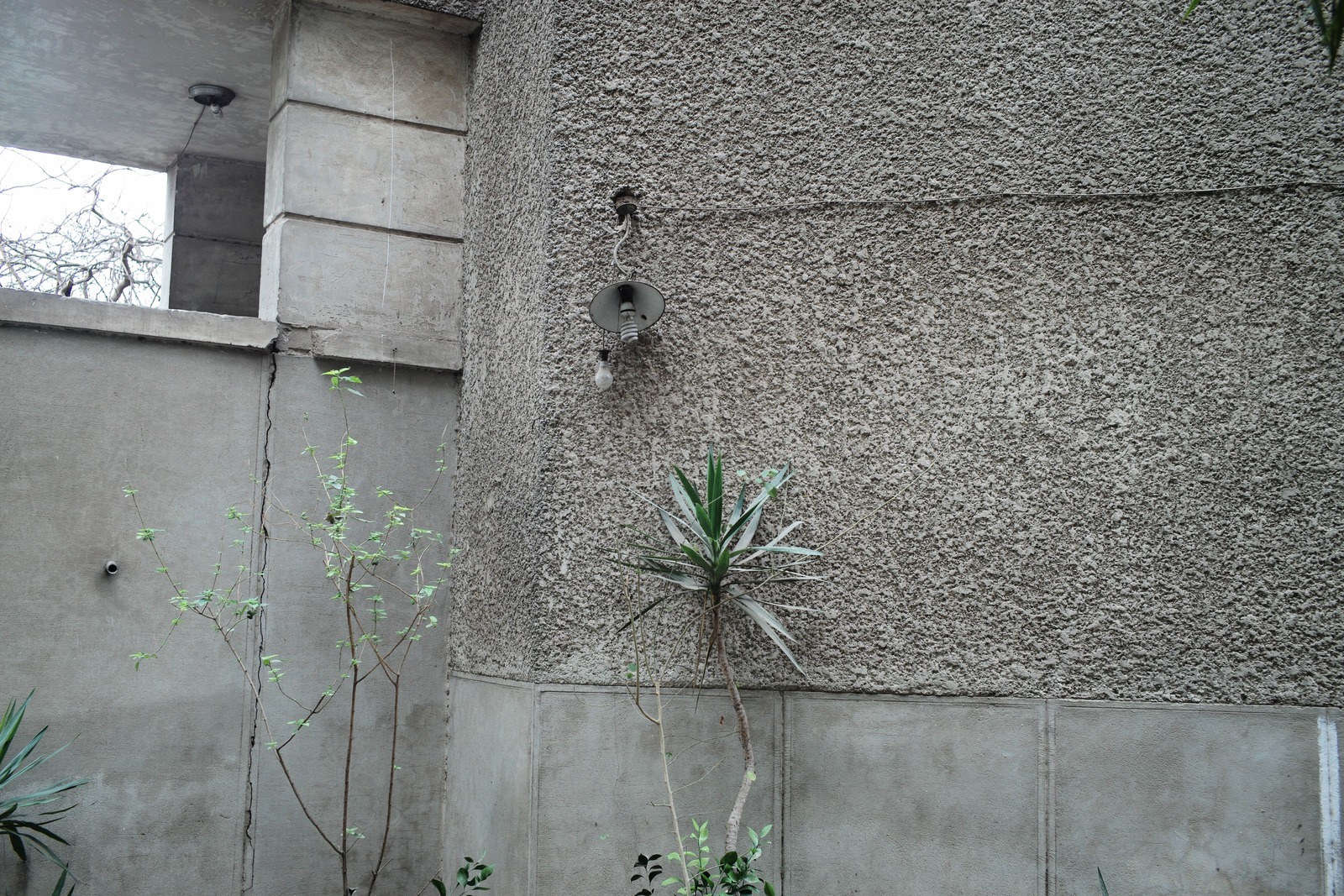 Urban Contrast