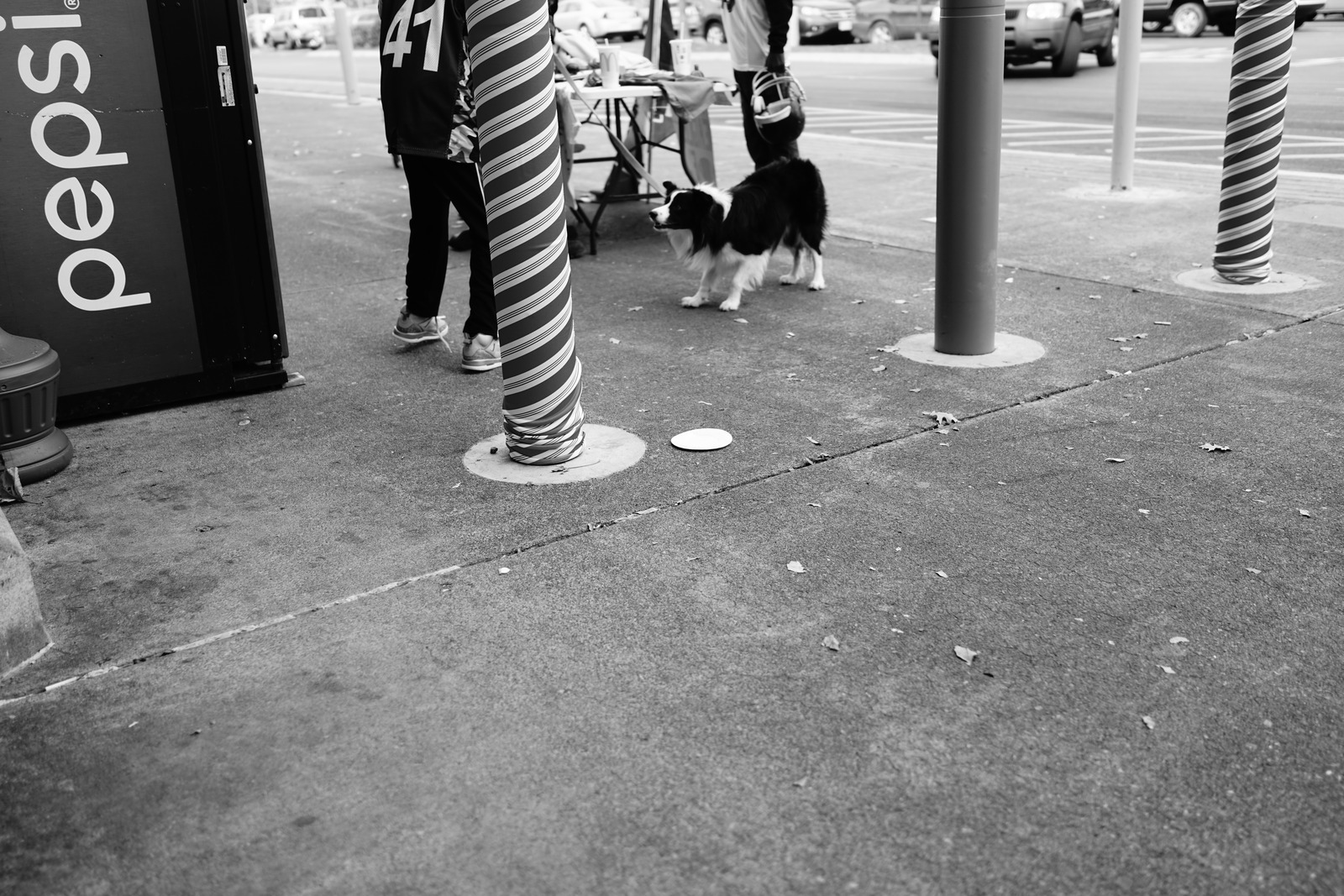 Urban Encounter