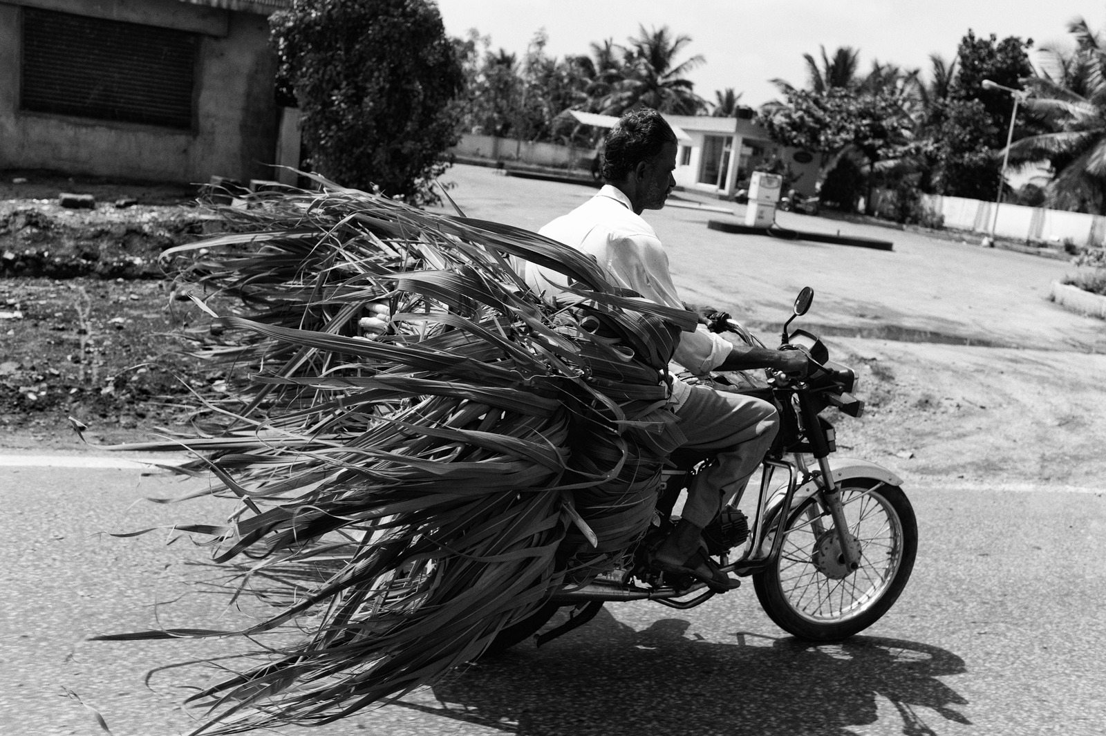 Rider in Motion