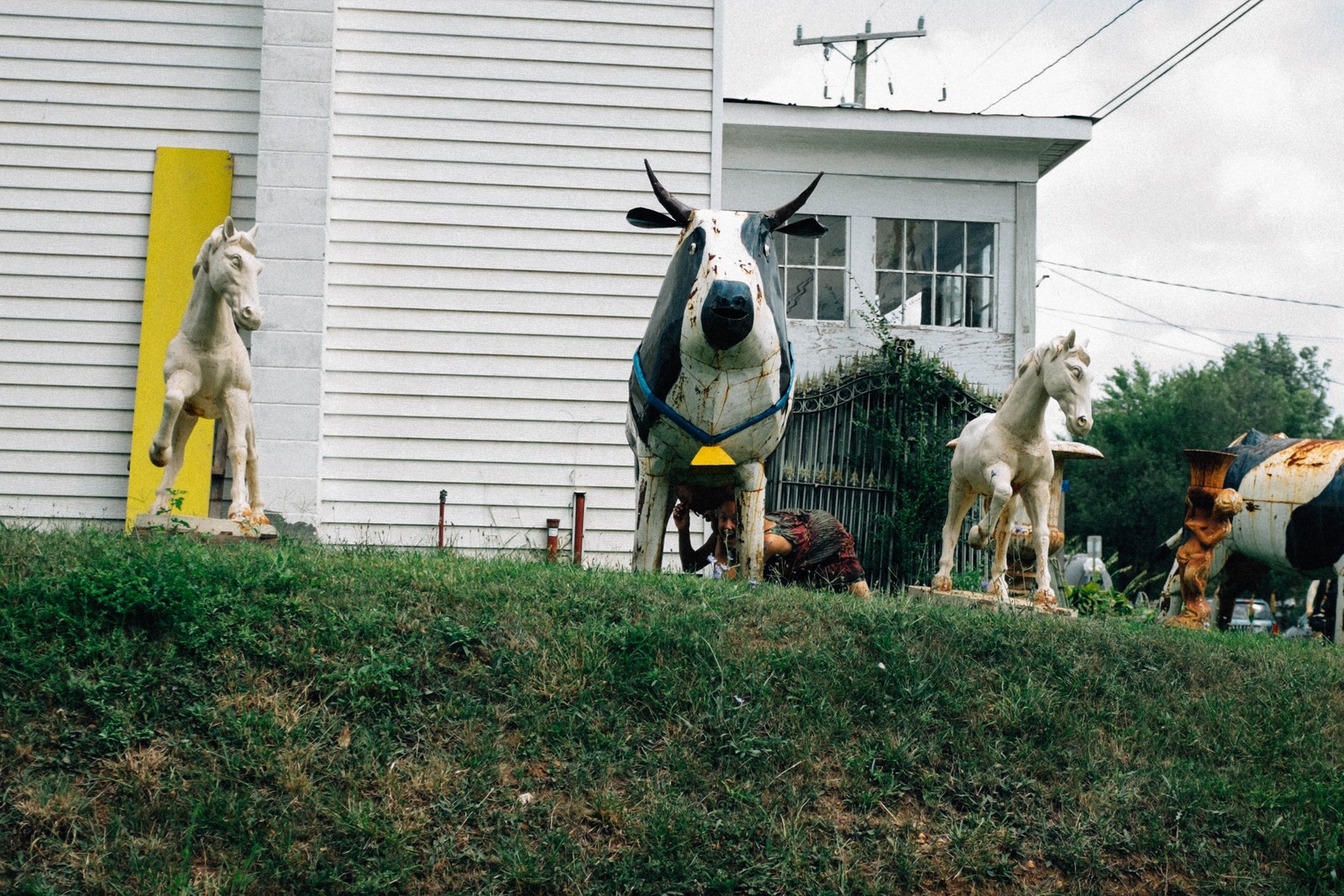 Whimsical Menagerie