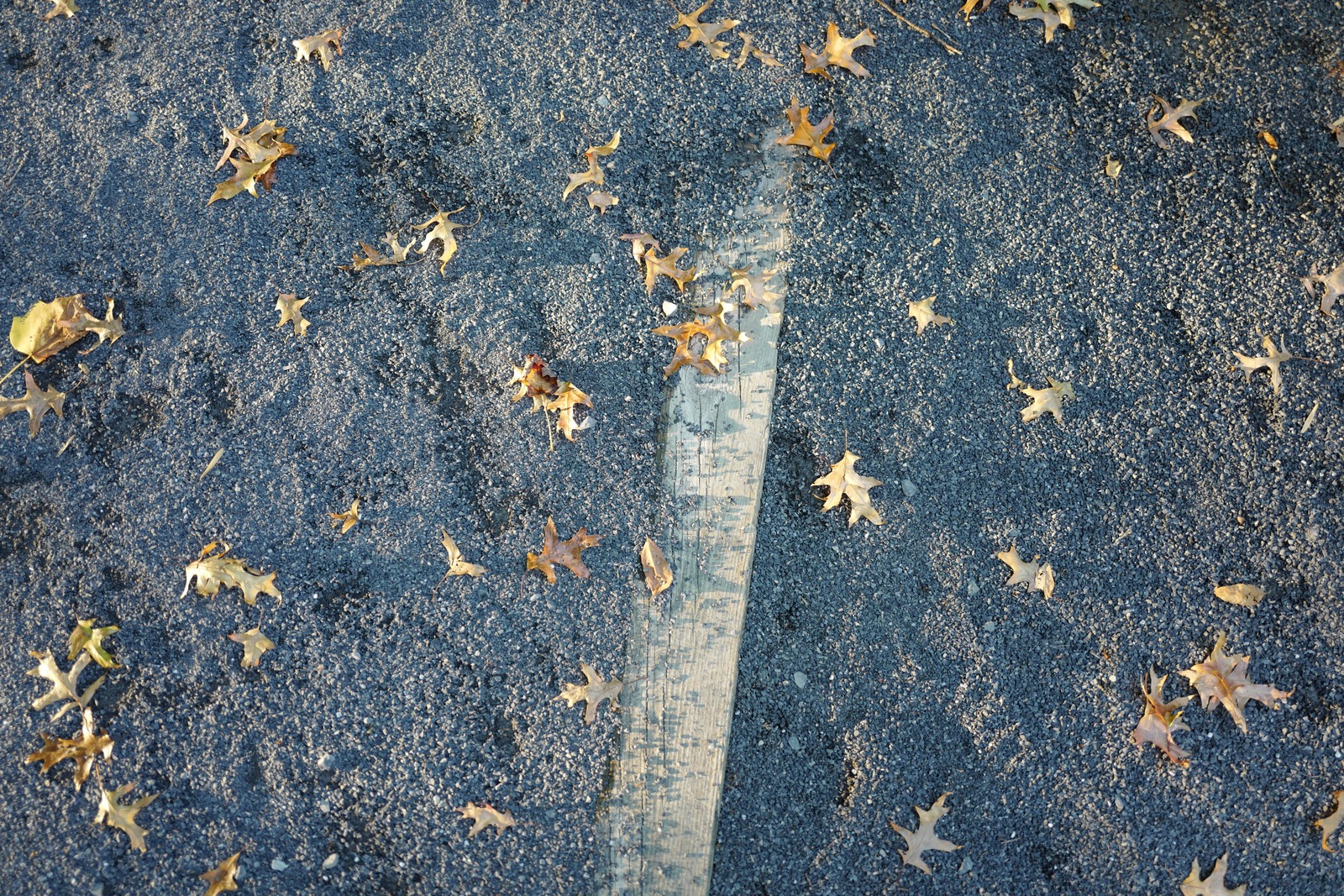 Autumn's Whisper