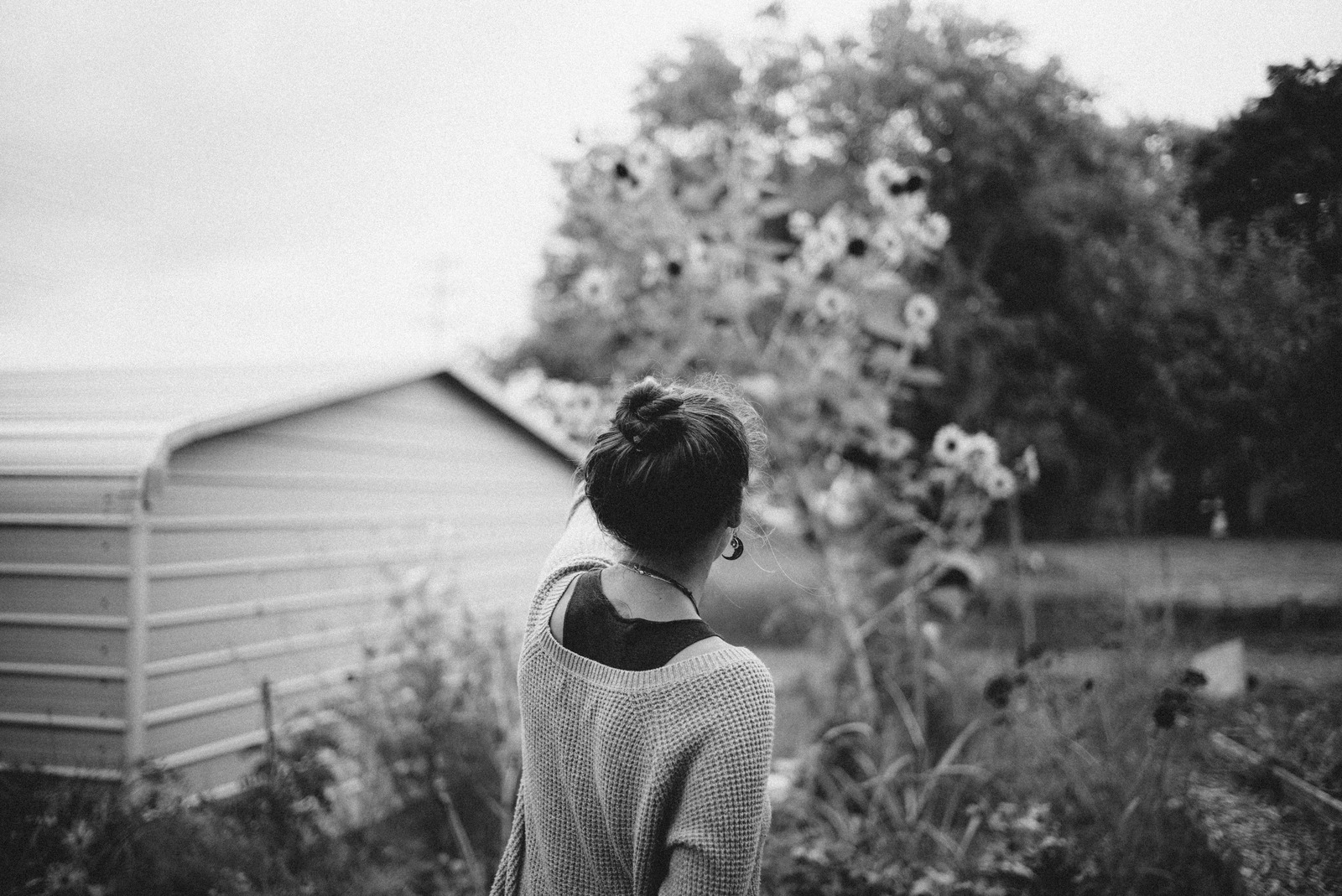 Whispers of Nature