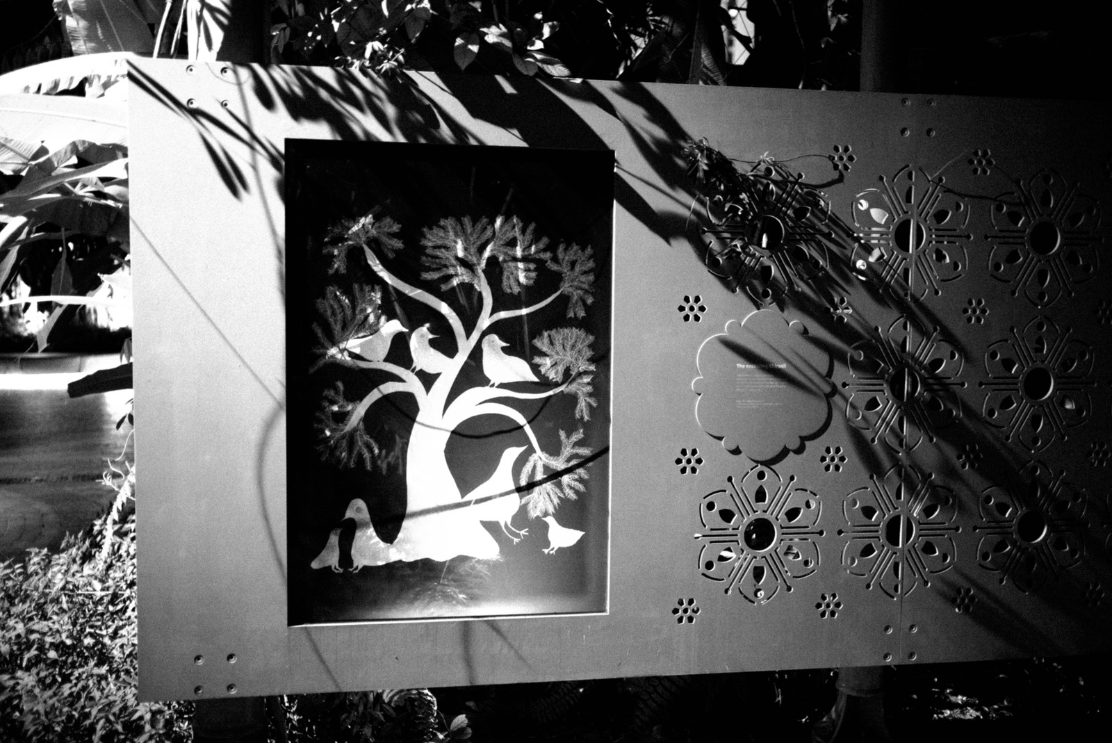 Whimsical Shadows