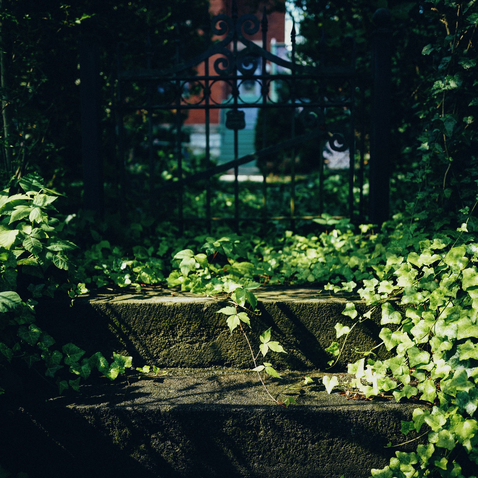 Whispers of Nature