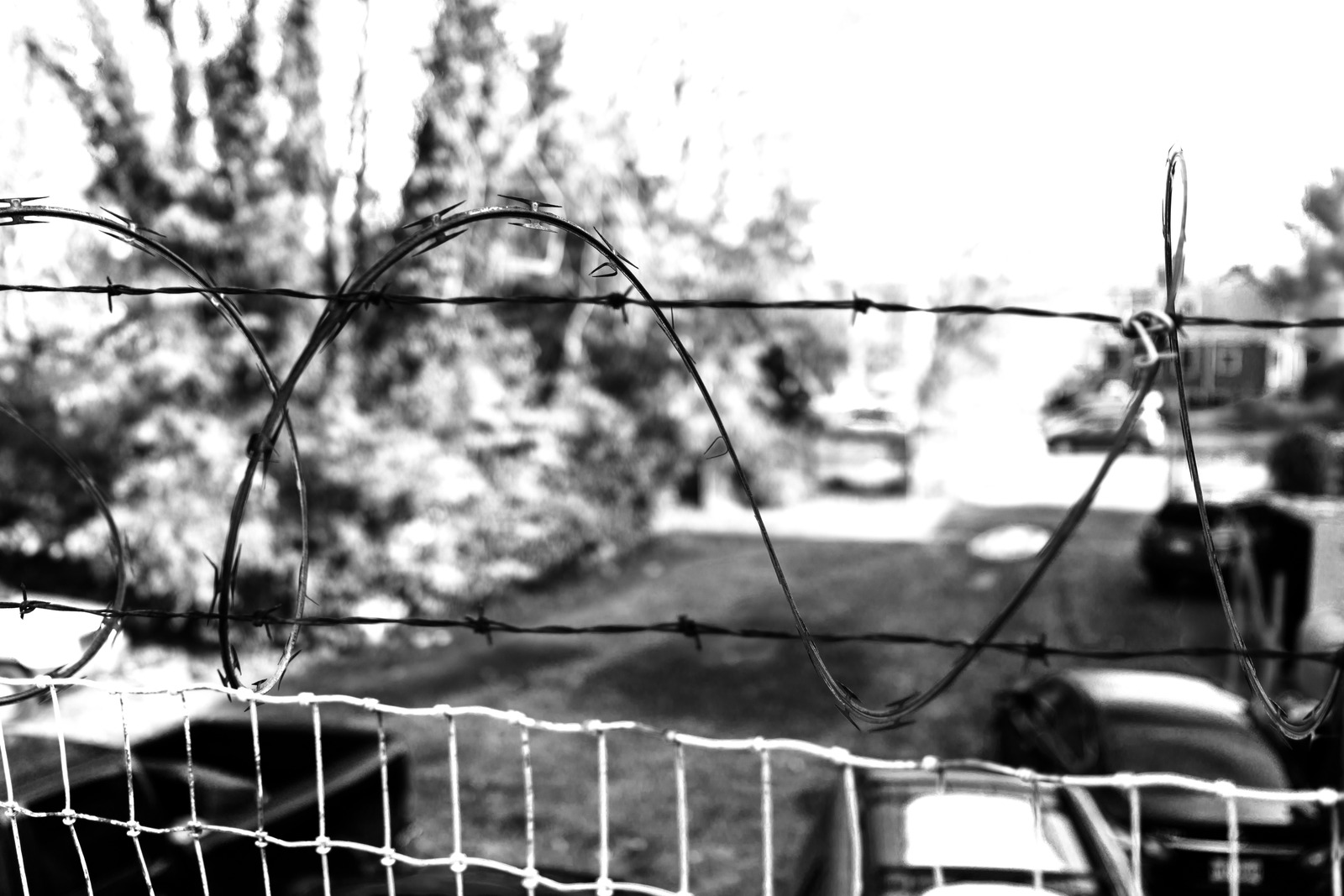 Barbed Boundaries
