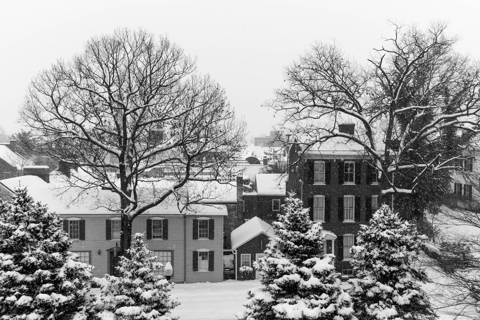 Winter's Embrace