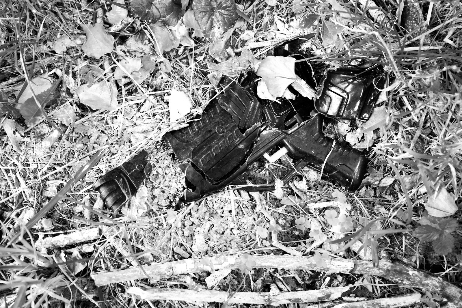 Forgotten Fragments