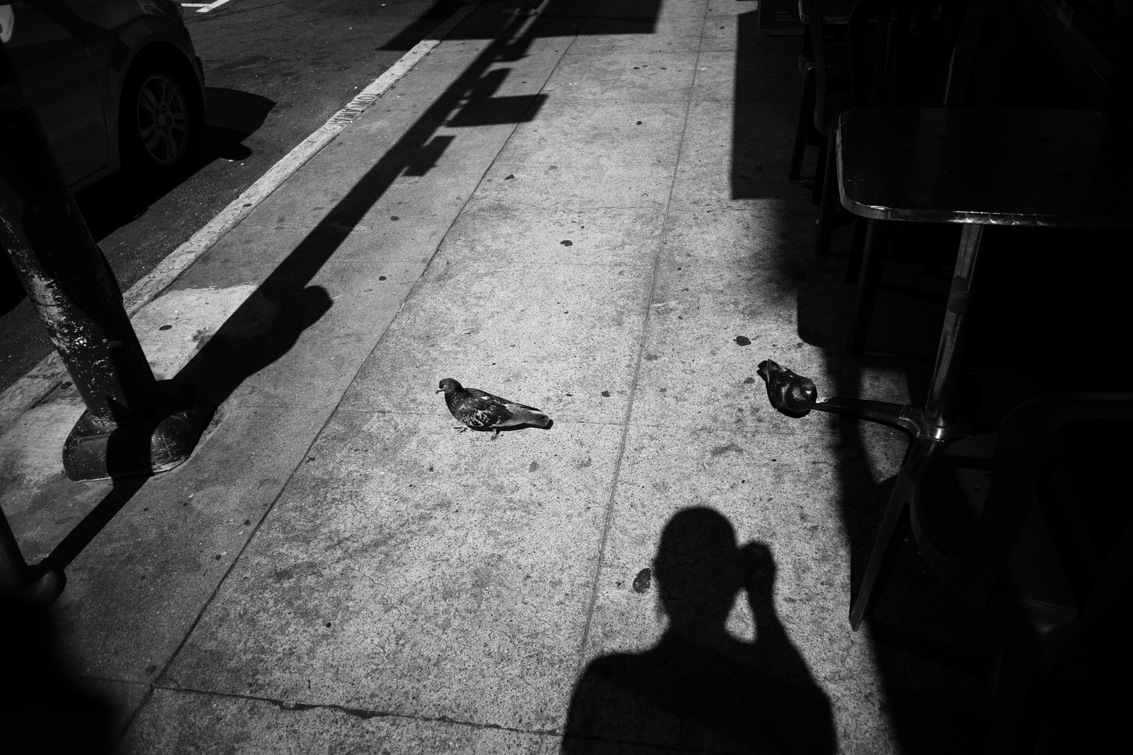 Urban Shadows