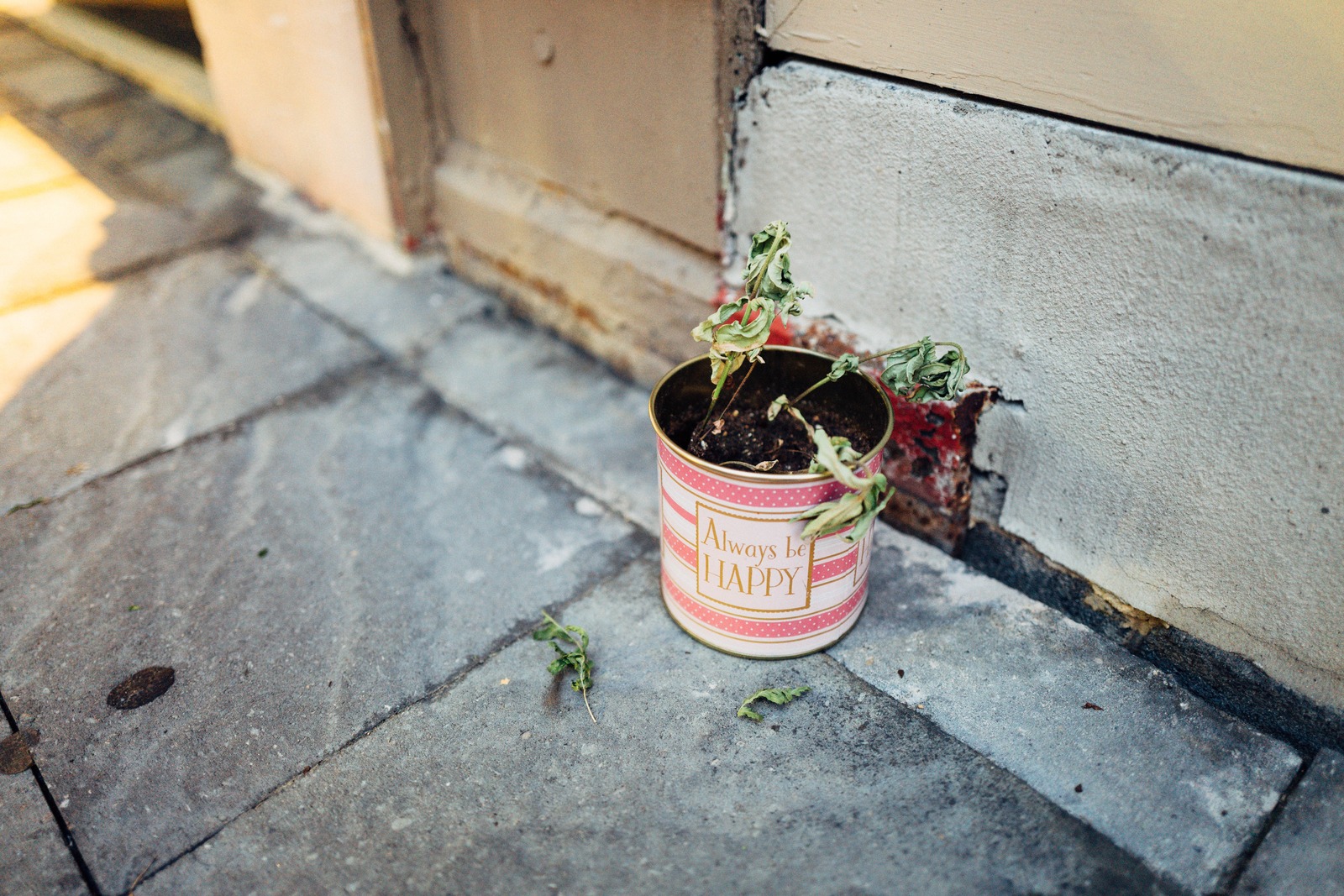 Resilient Remnants