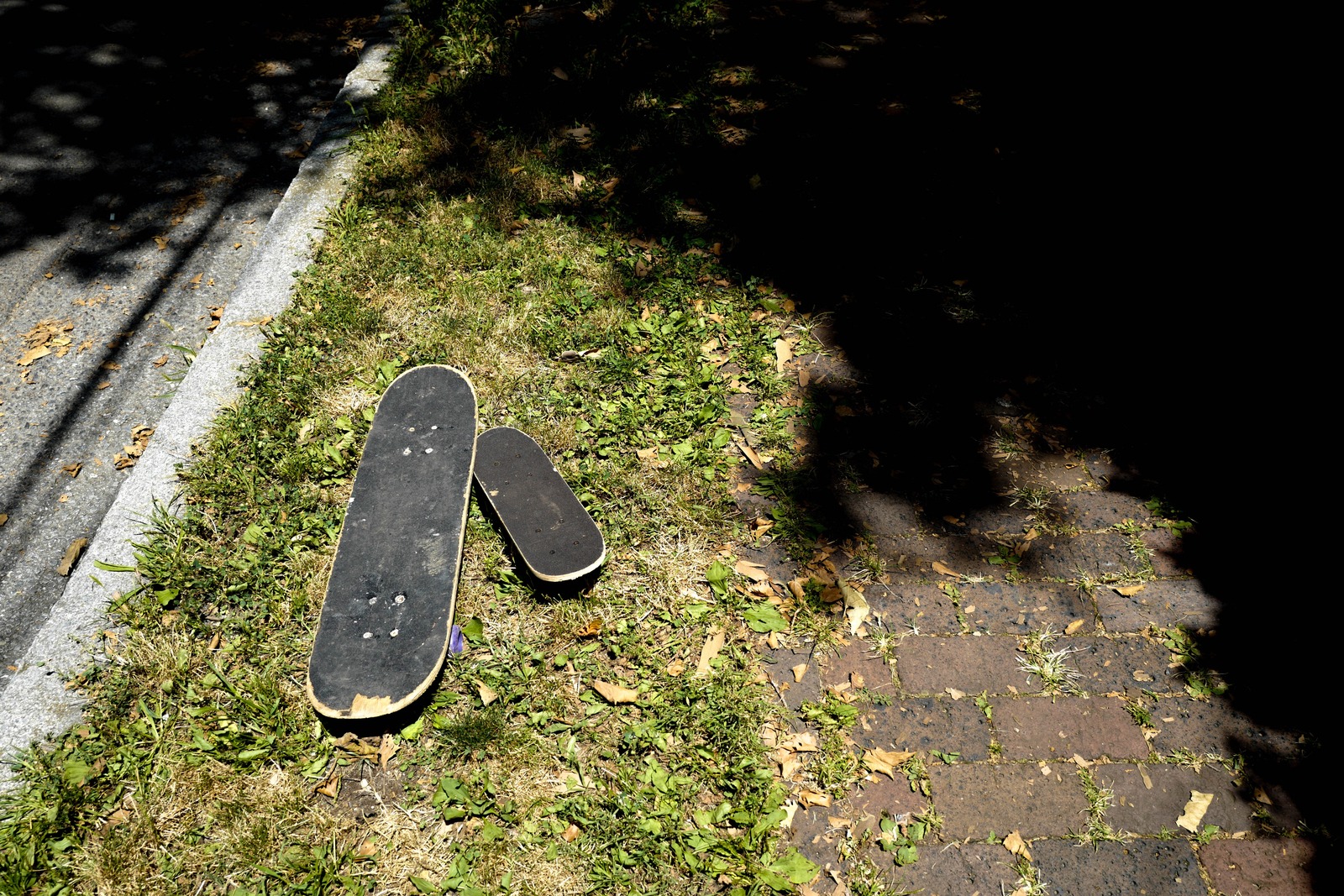 Forgotten Rides