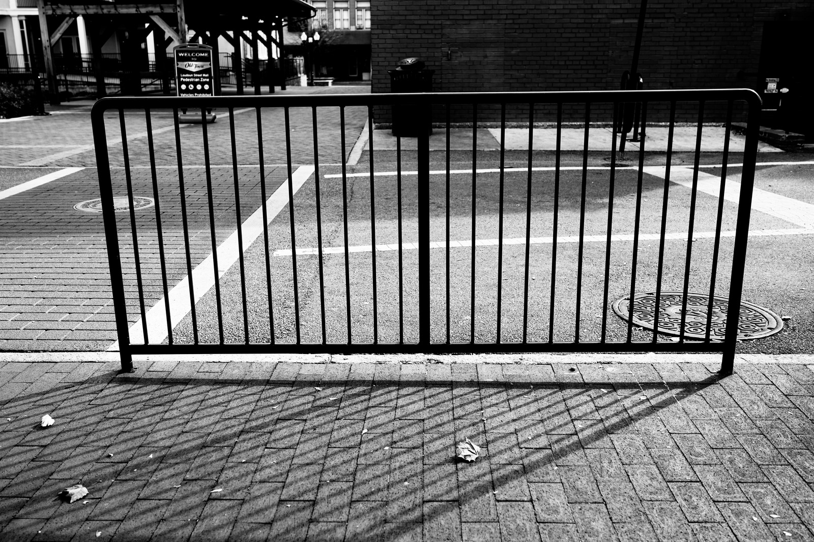 Lines and Shadows