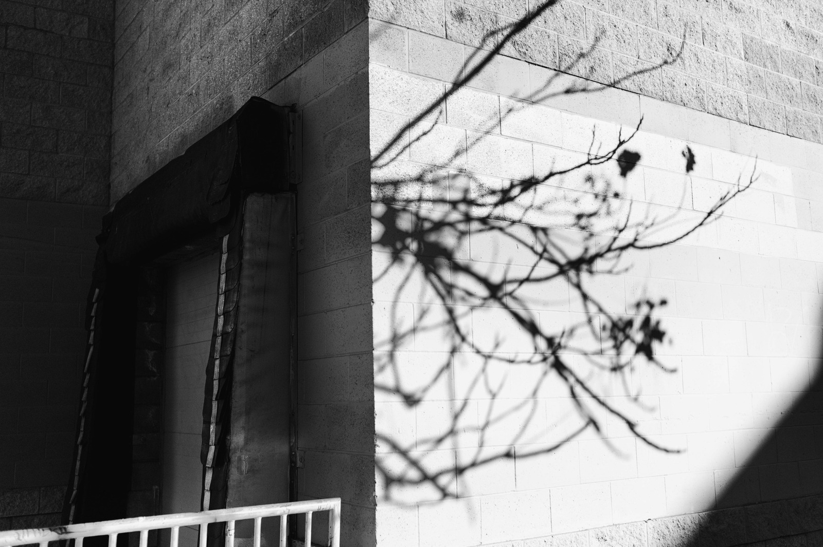 Shadows on Concrete