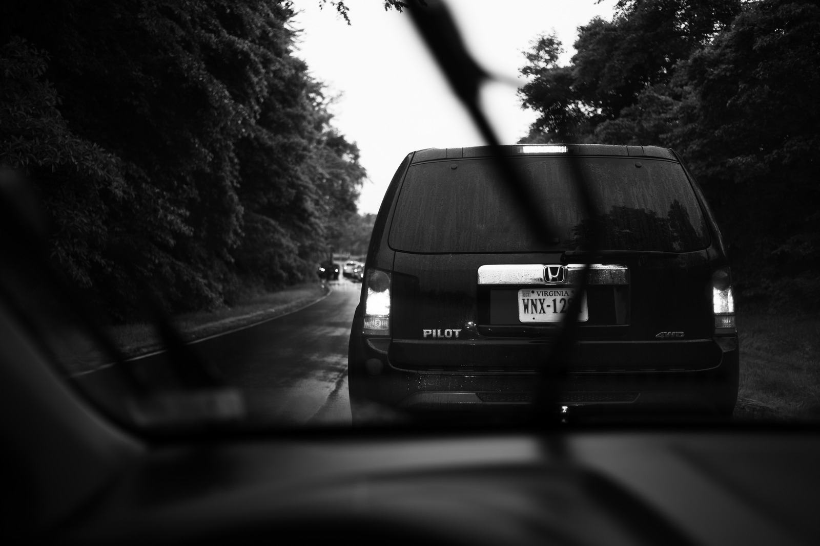 Drenched Detours