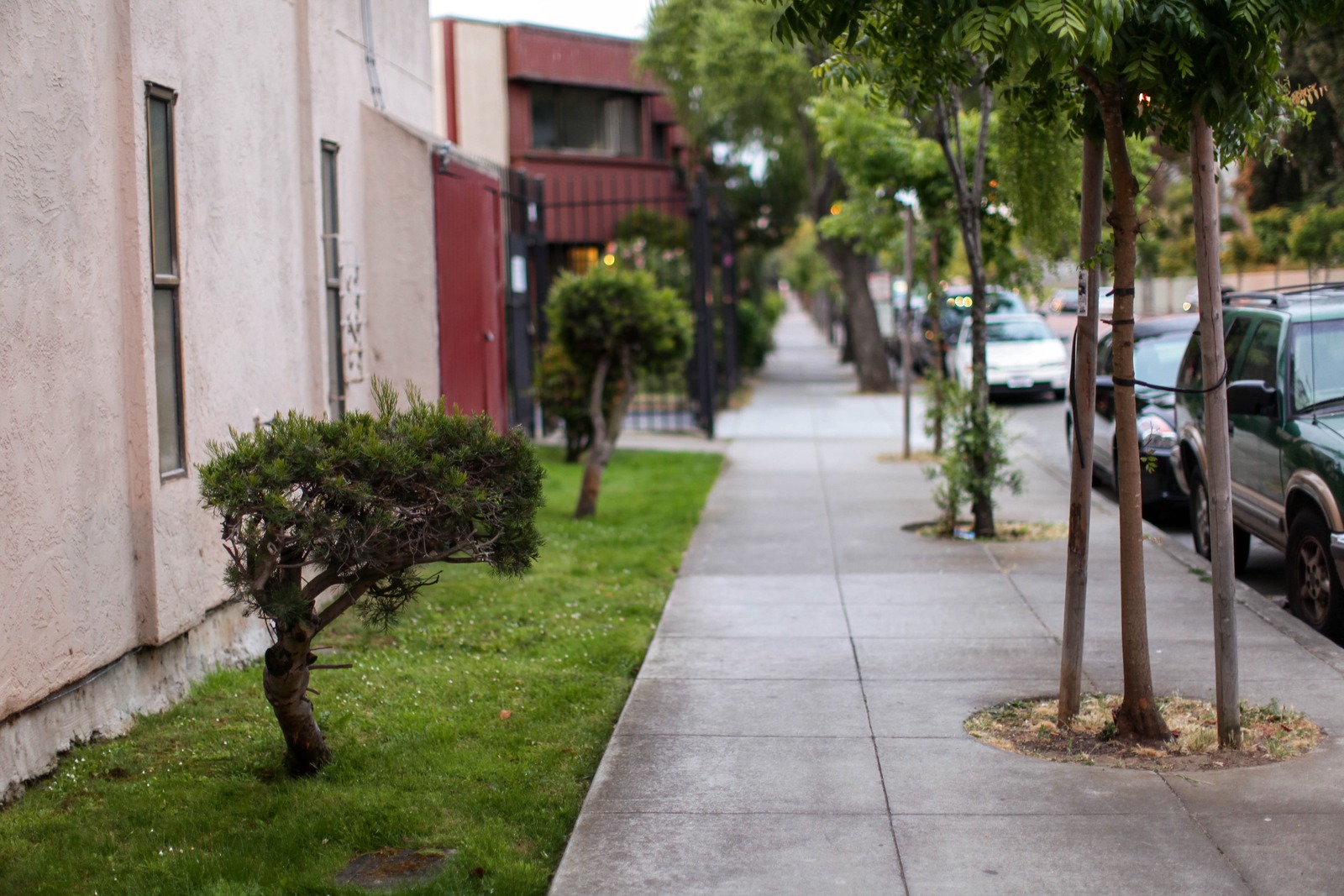 Urban Tranquility